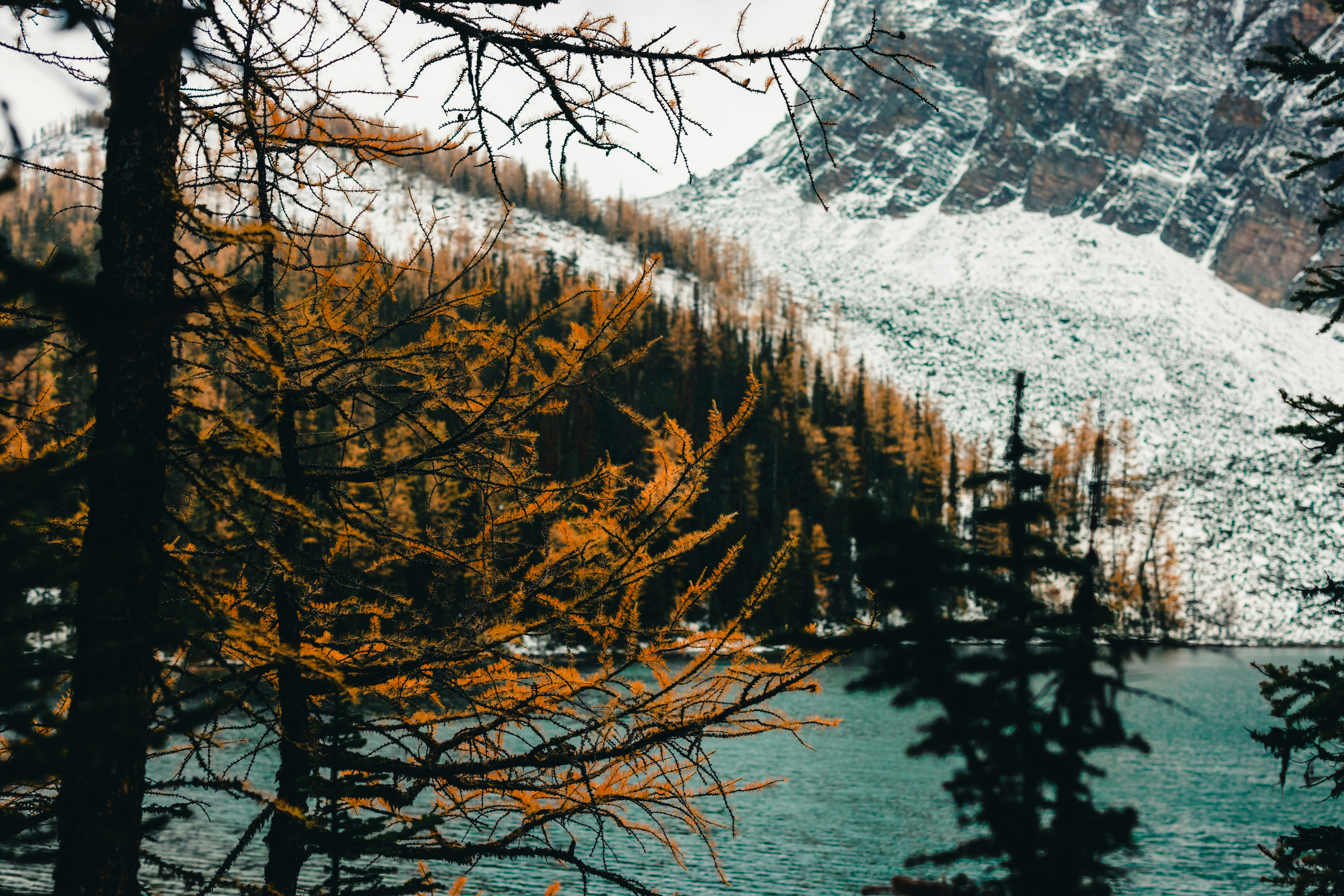 Photo by lureofadventure