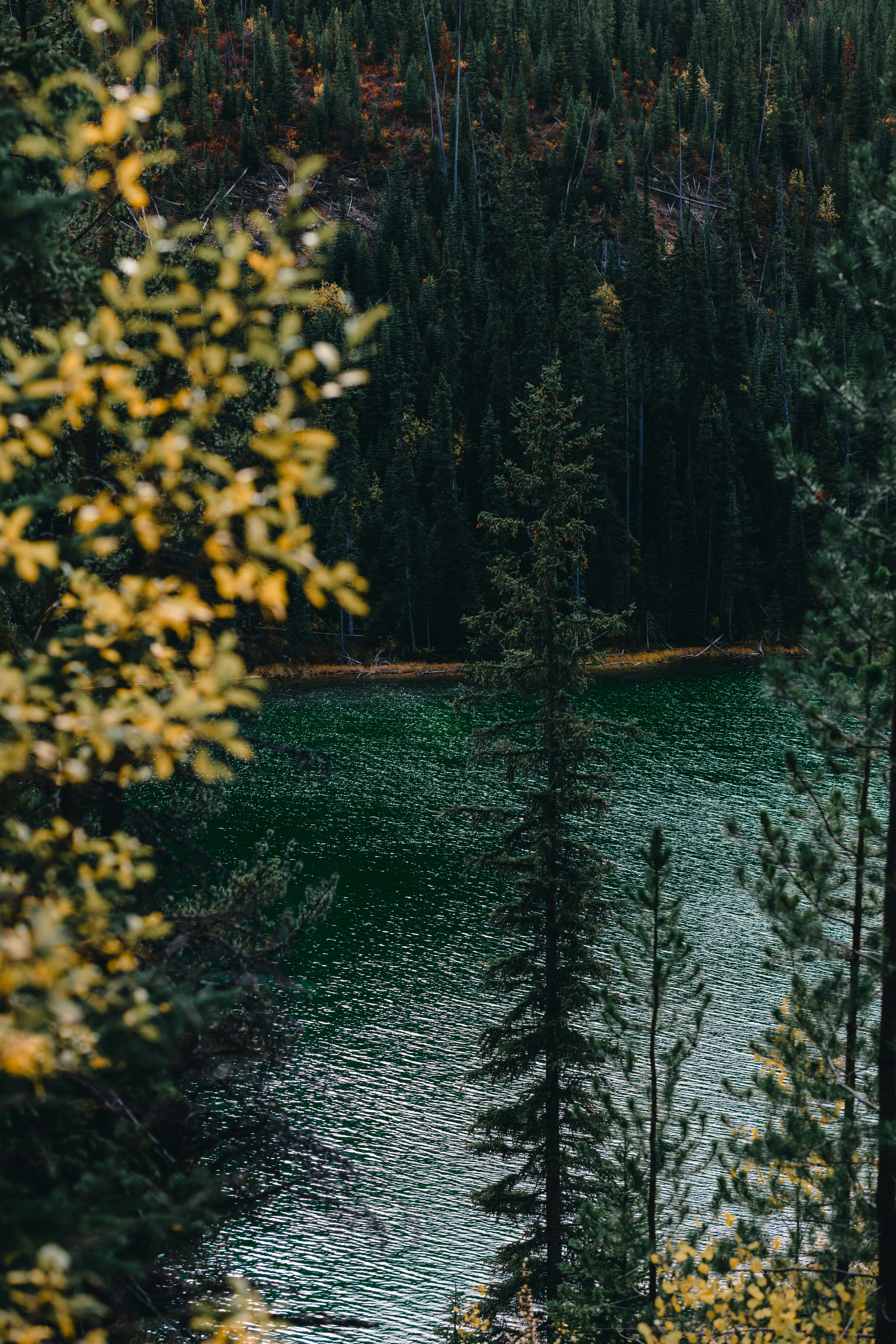Photo by lureofadventure