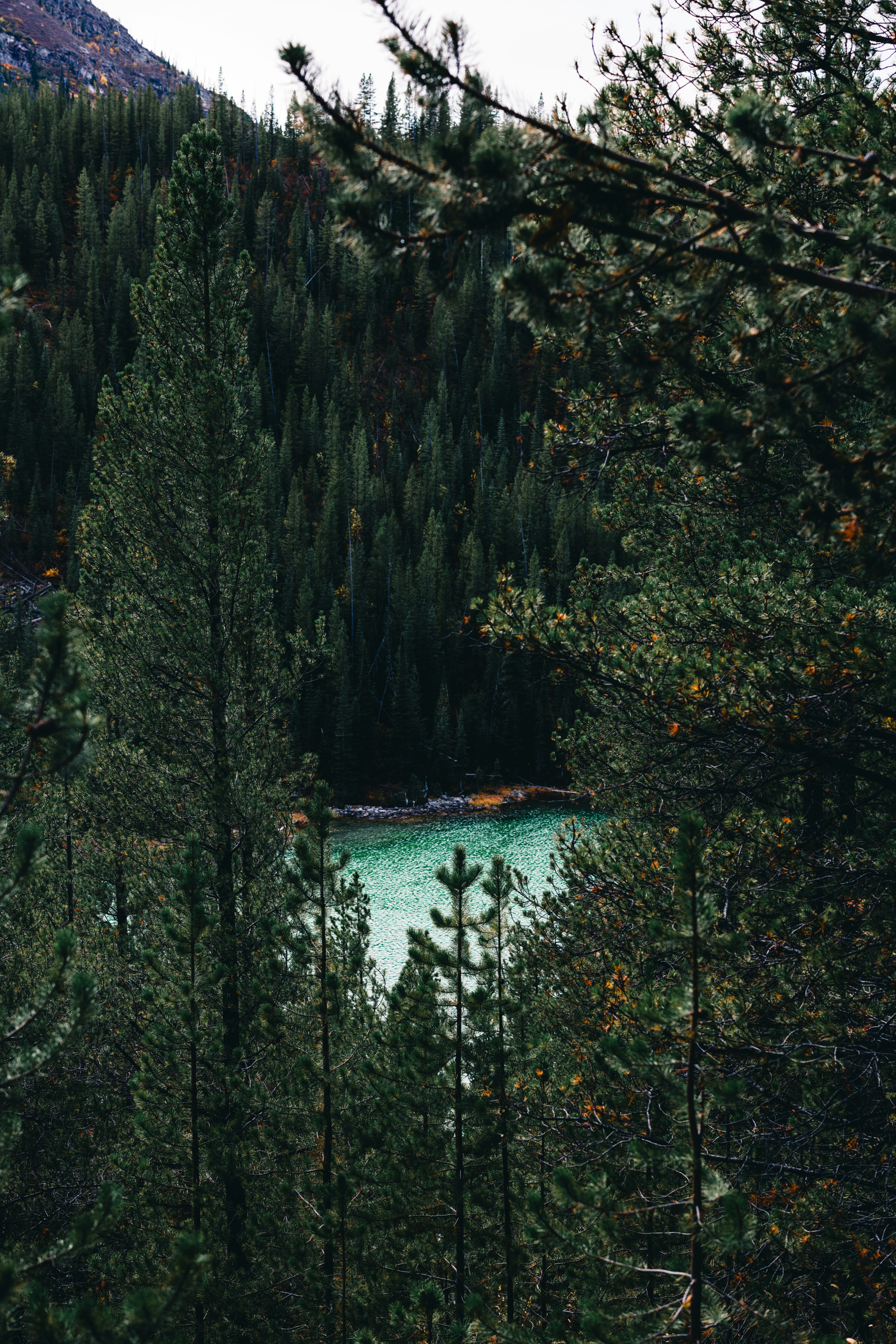 Photo by lureofadventure