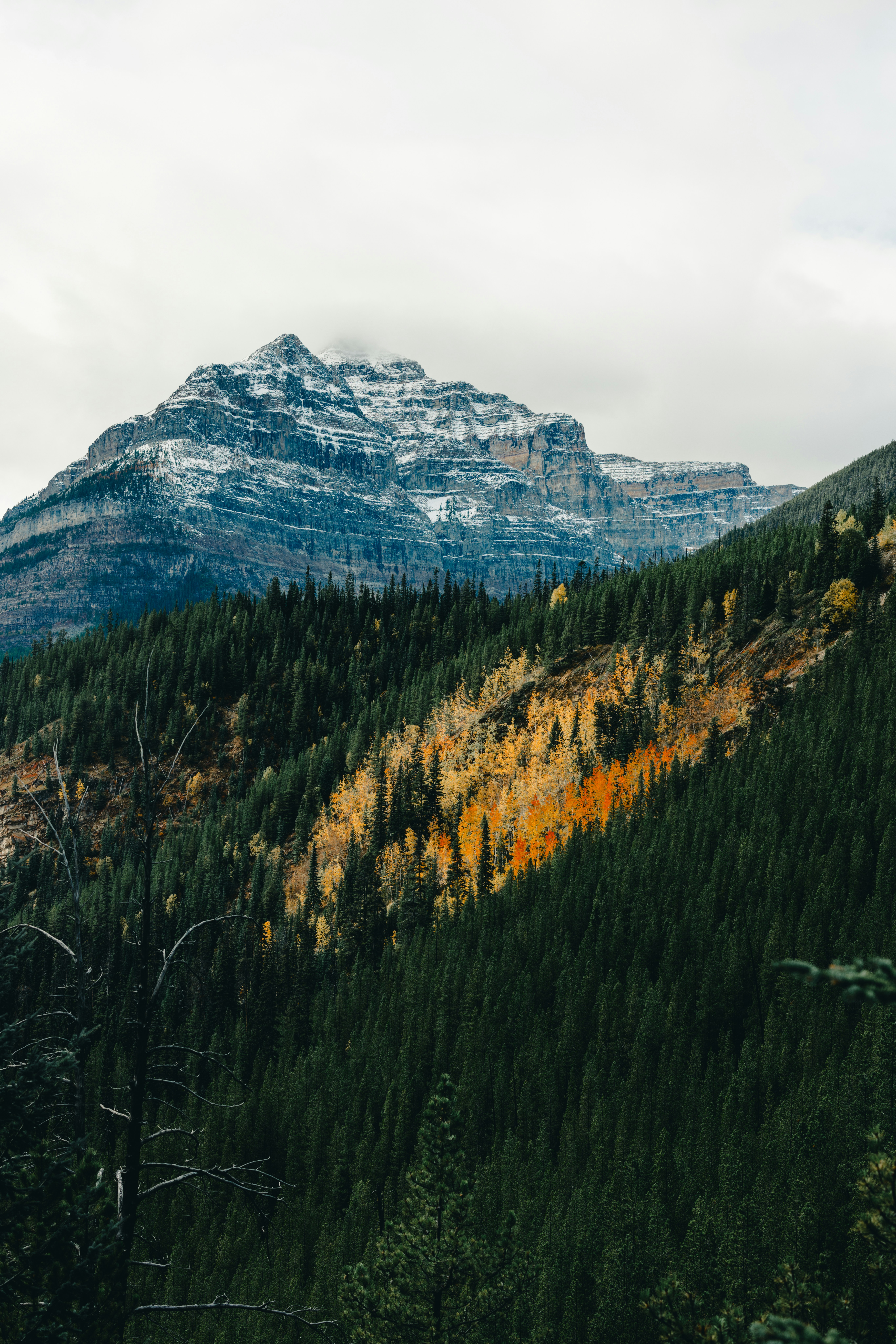 Galaxias Cósmicas Panorámicas Iluminando La Tierra Desde El Espacio En  Cielos Surrealistas Ultraamplios Stock de ilustración - Ilustración de  espacio, noche: 392581833, image size:3000x4498
