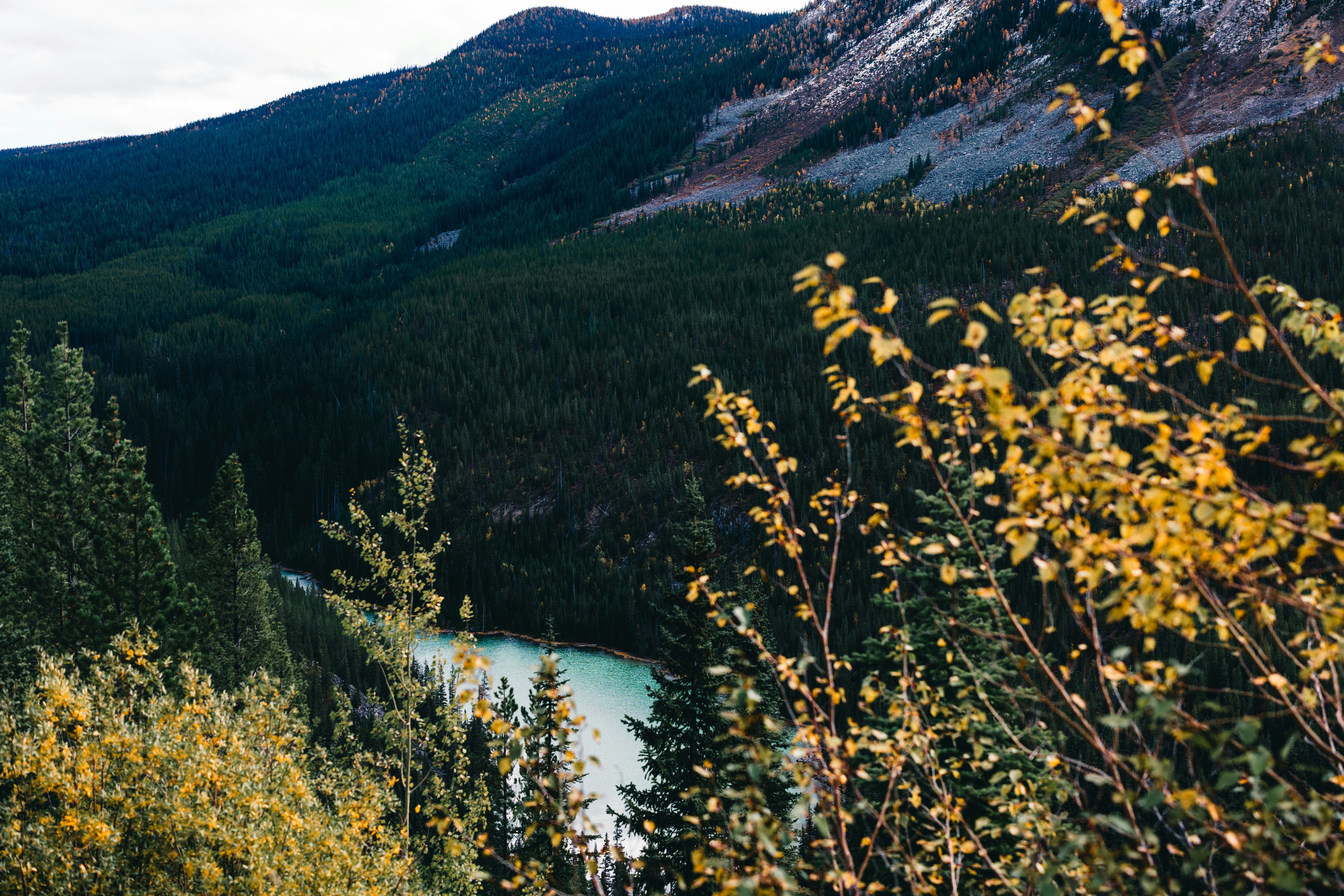 Log Creek Camp