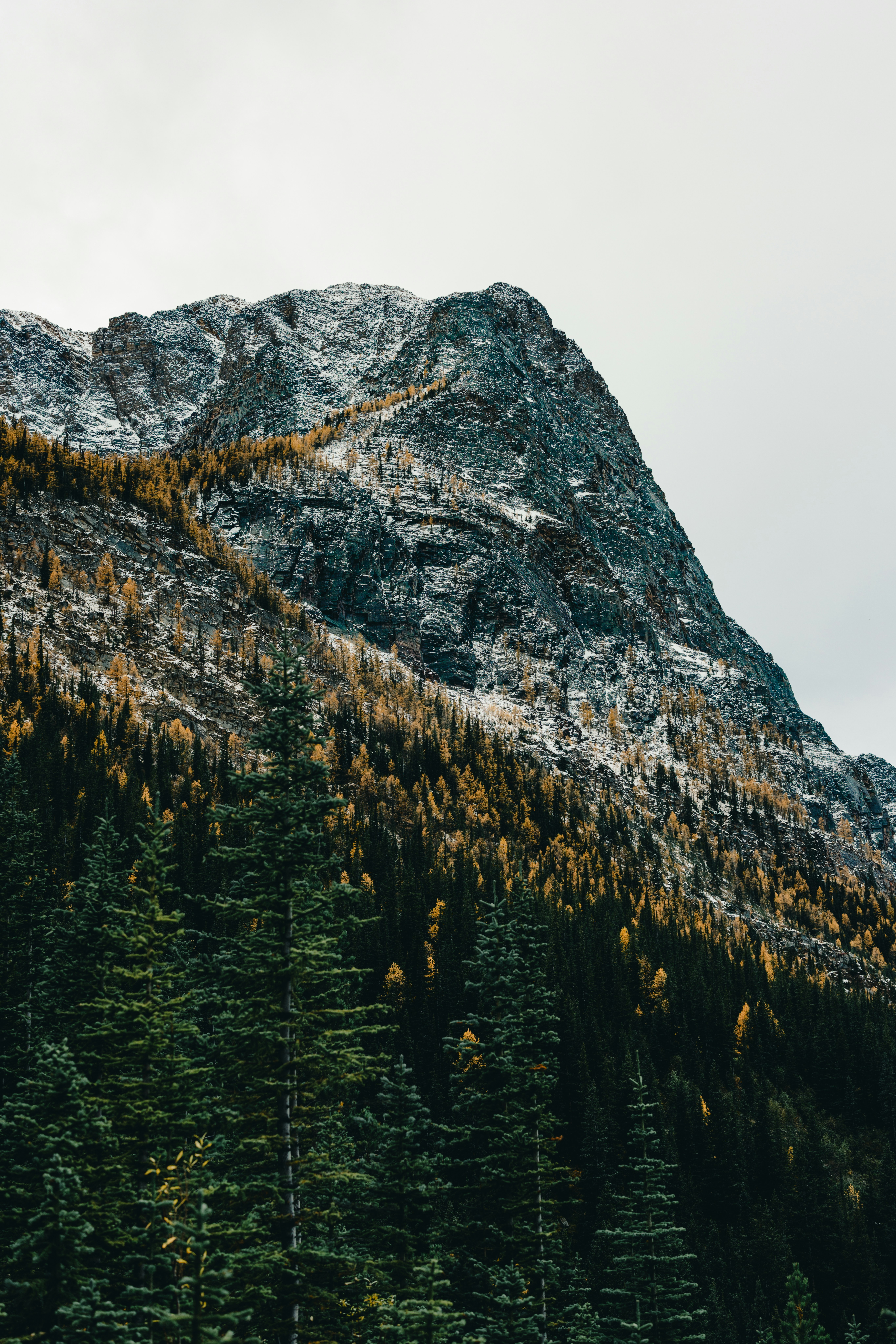 Photo by lureofadventure