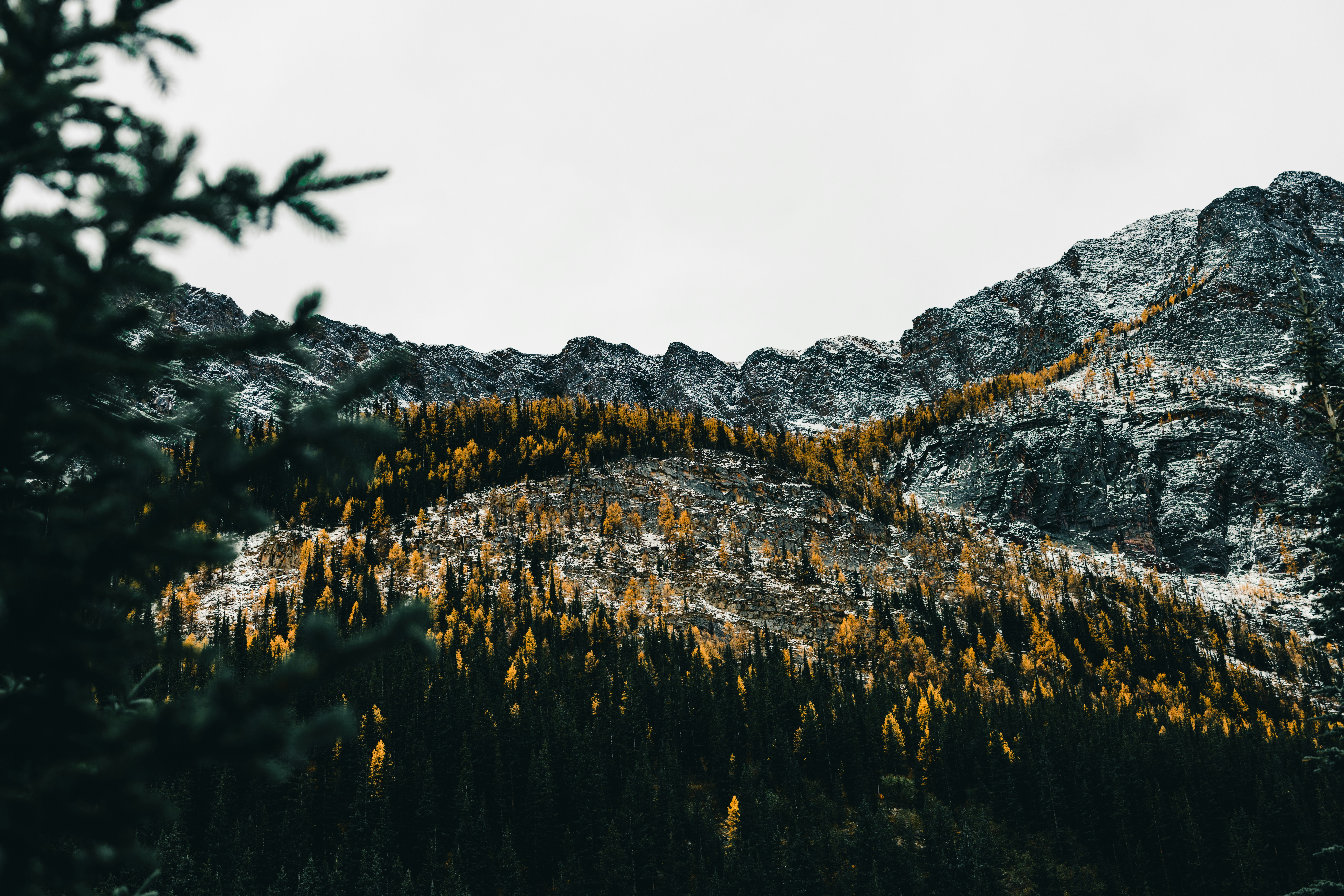 Photo by lureofadventure