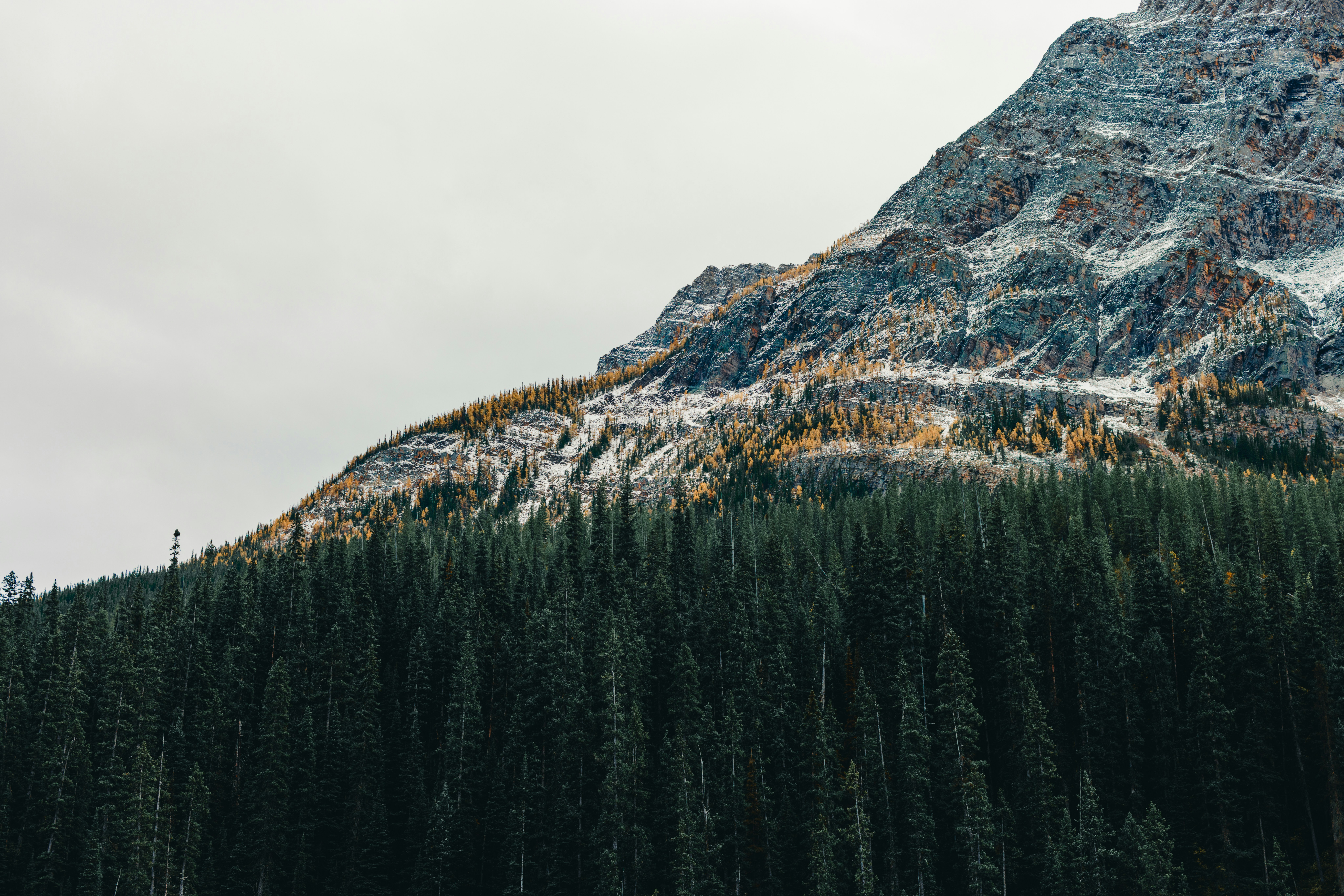 Photo by lureofadventure