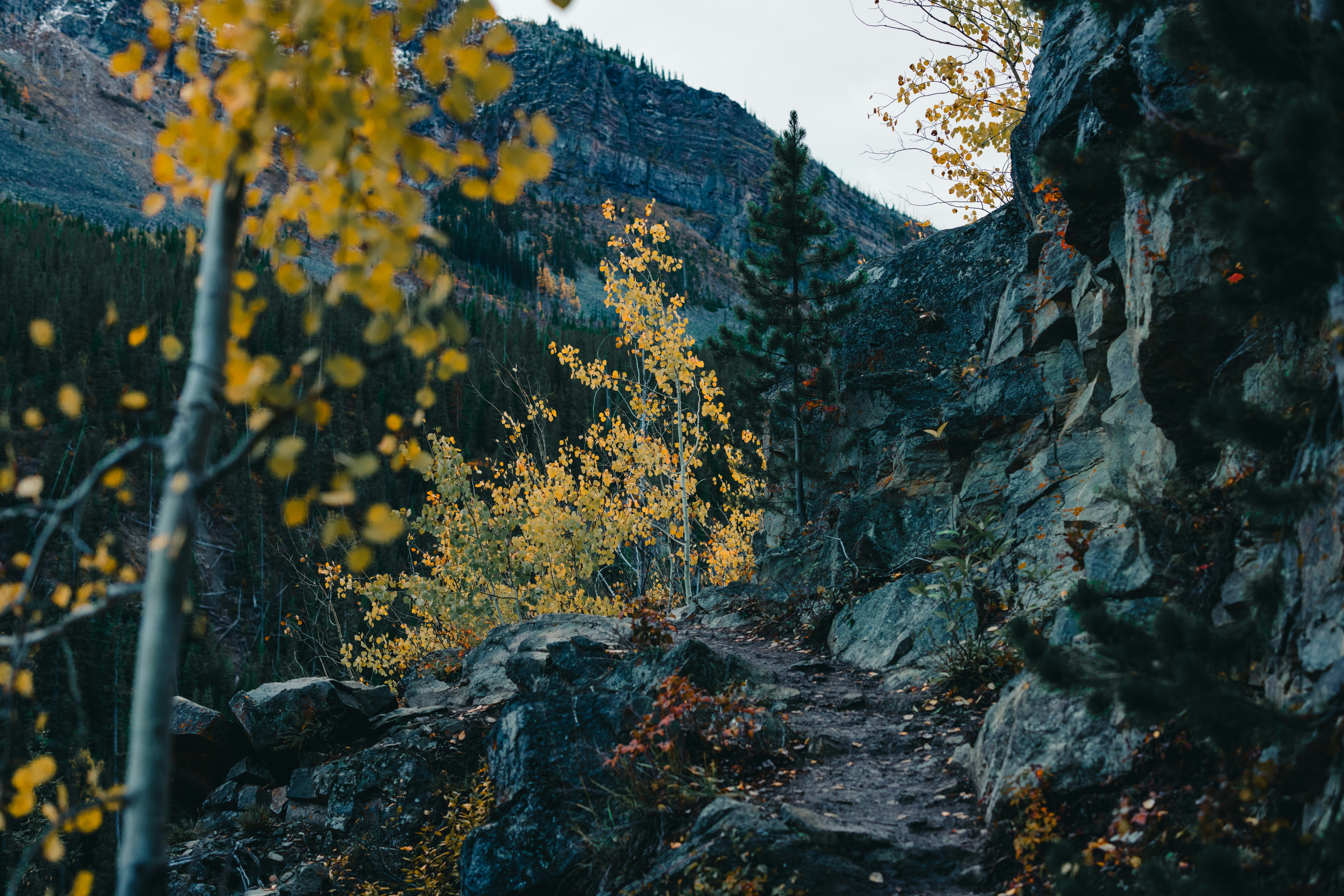 야간뇨 원인과 개선 방법