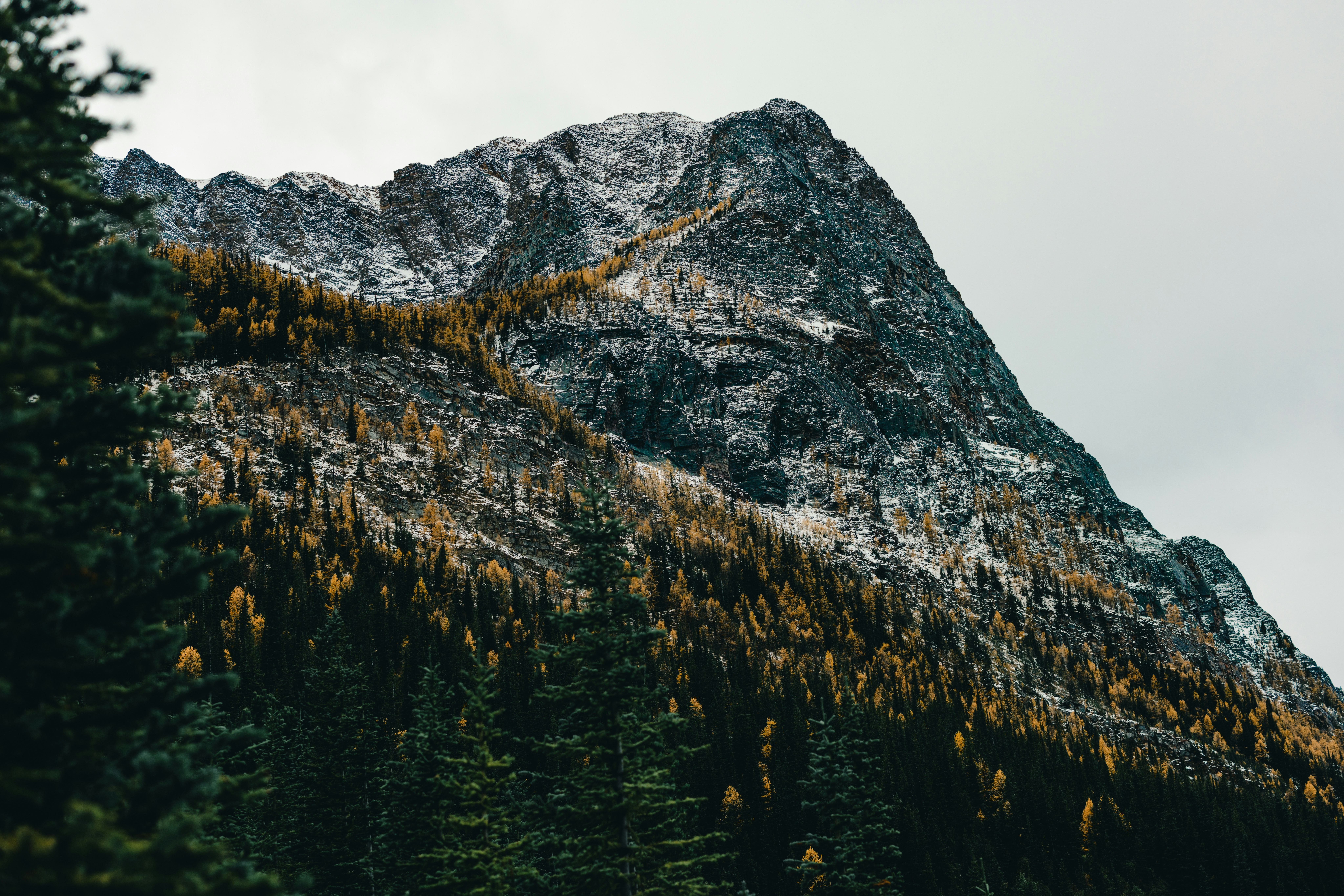 Photo by lureofadventure