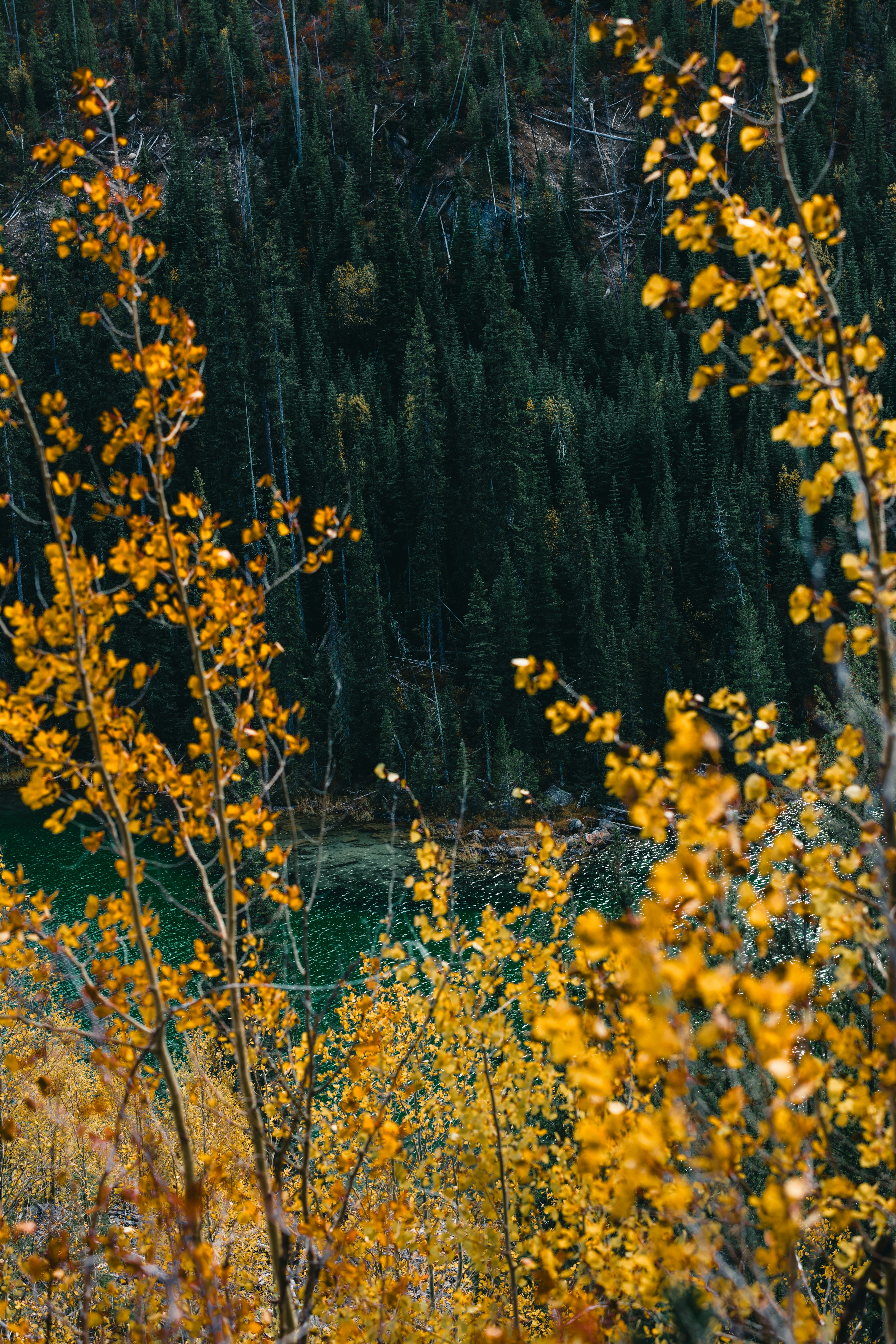 Photo by lureofadventure