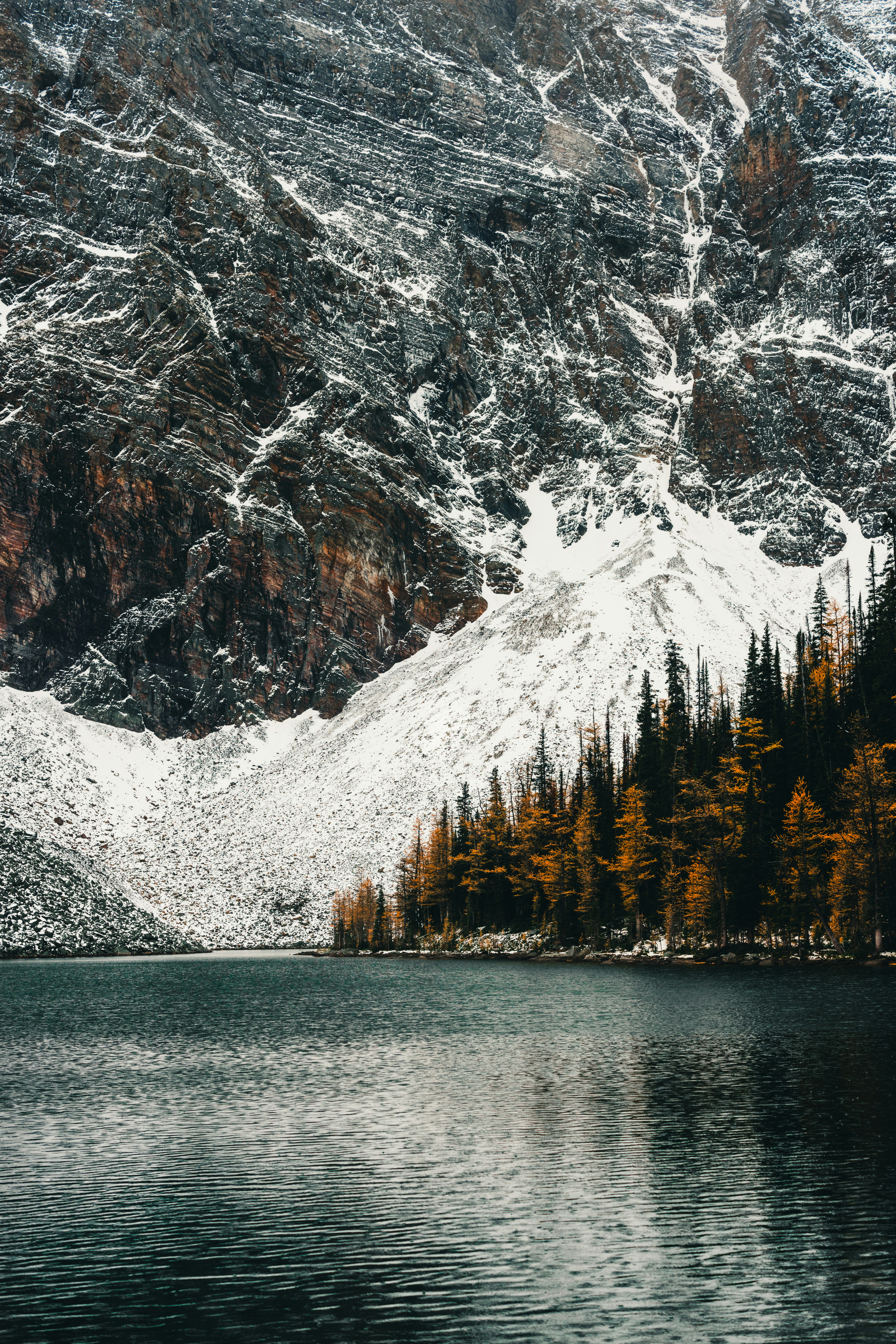 Photo by lureofadventure