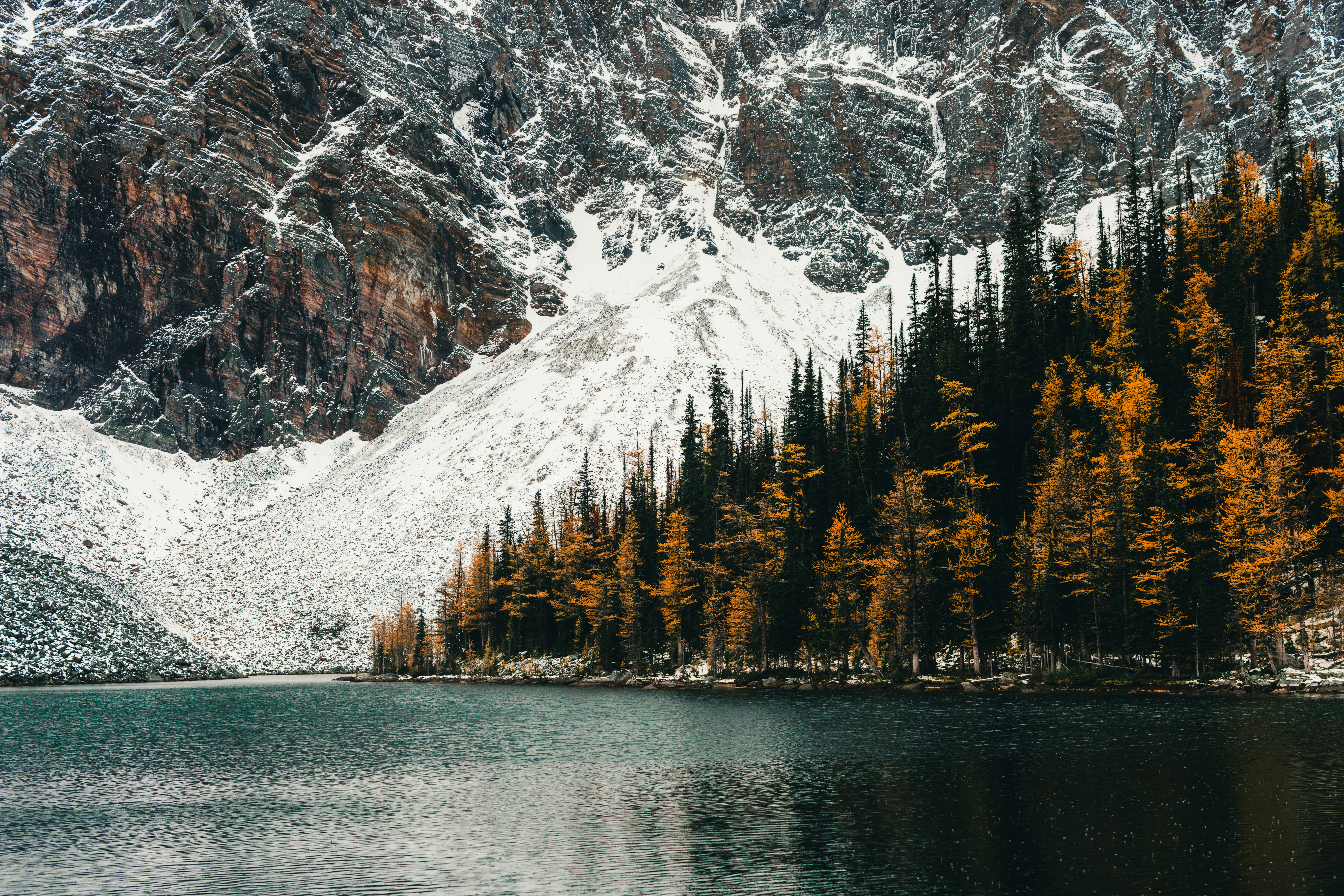 Photo by lureofadventure