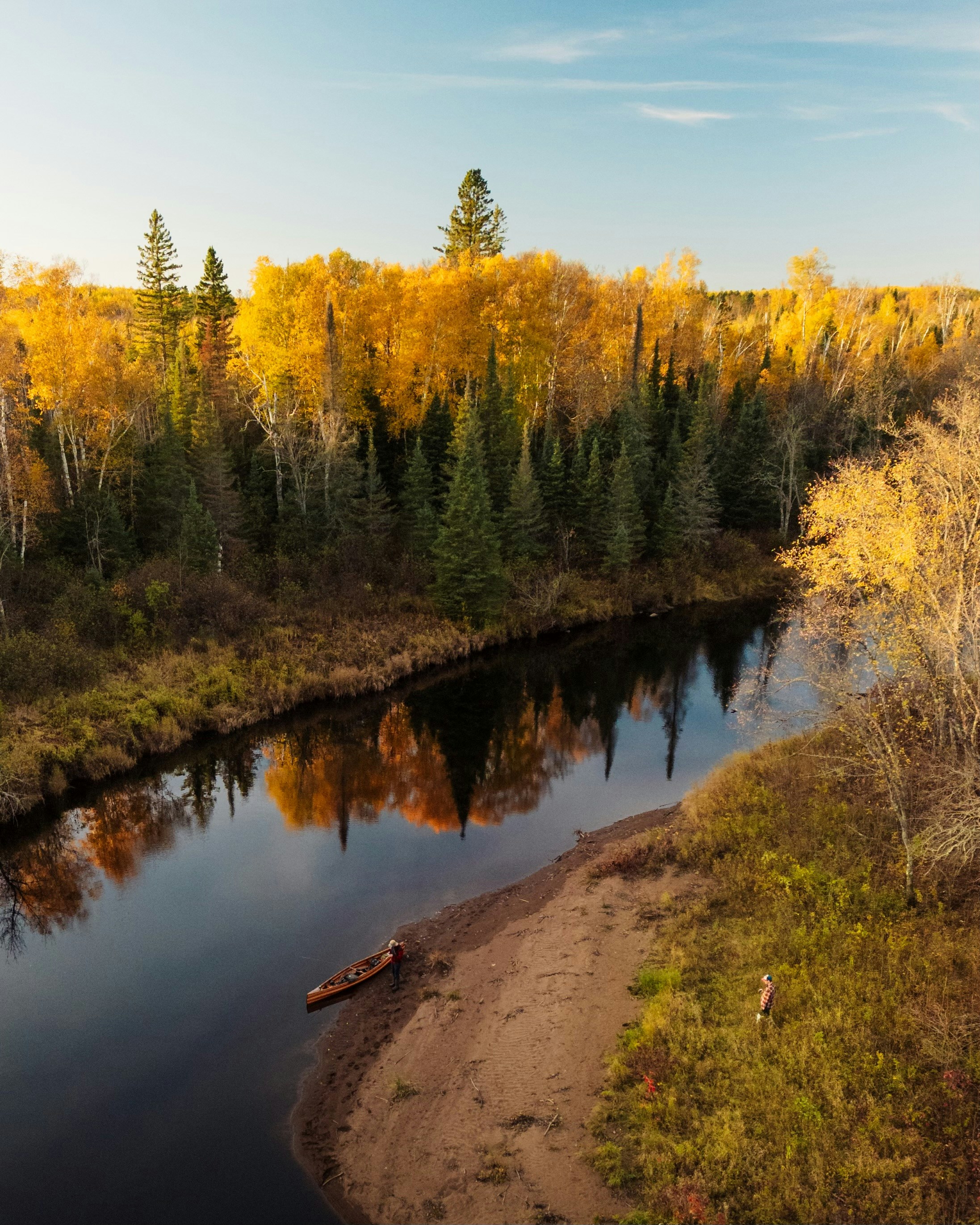A river running through a lush green forest