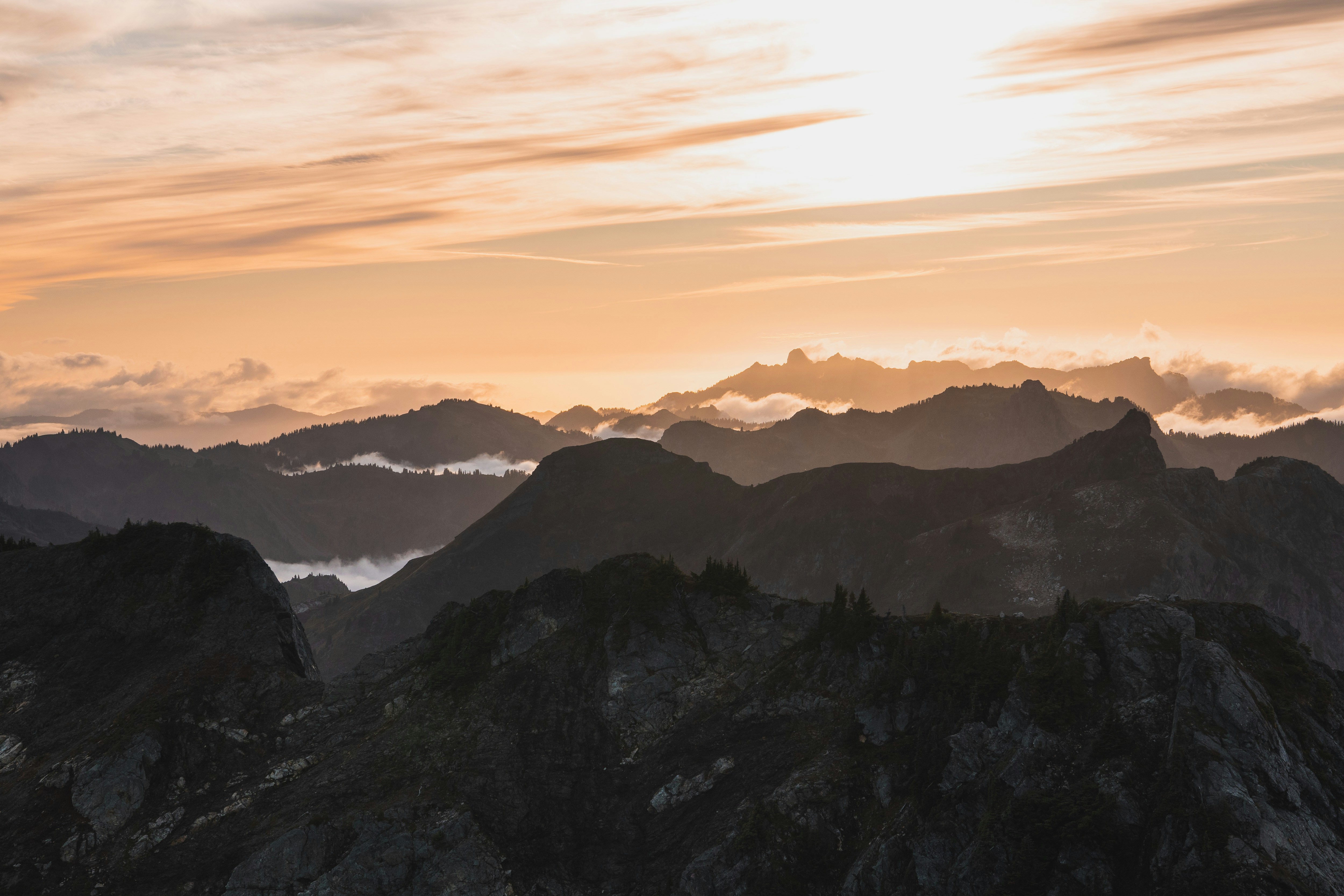 Photo by wanderingechos