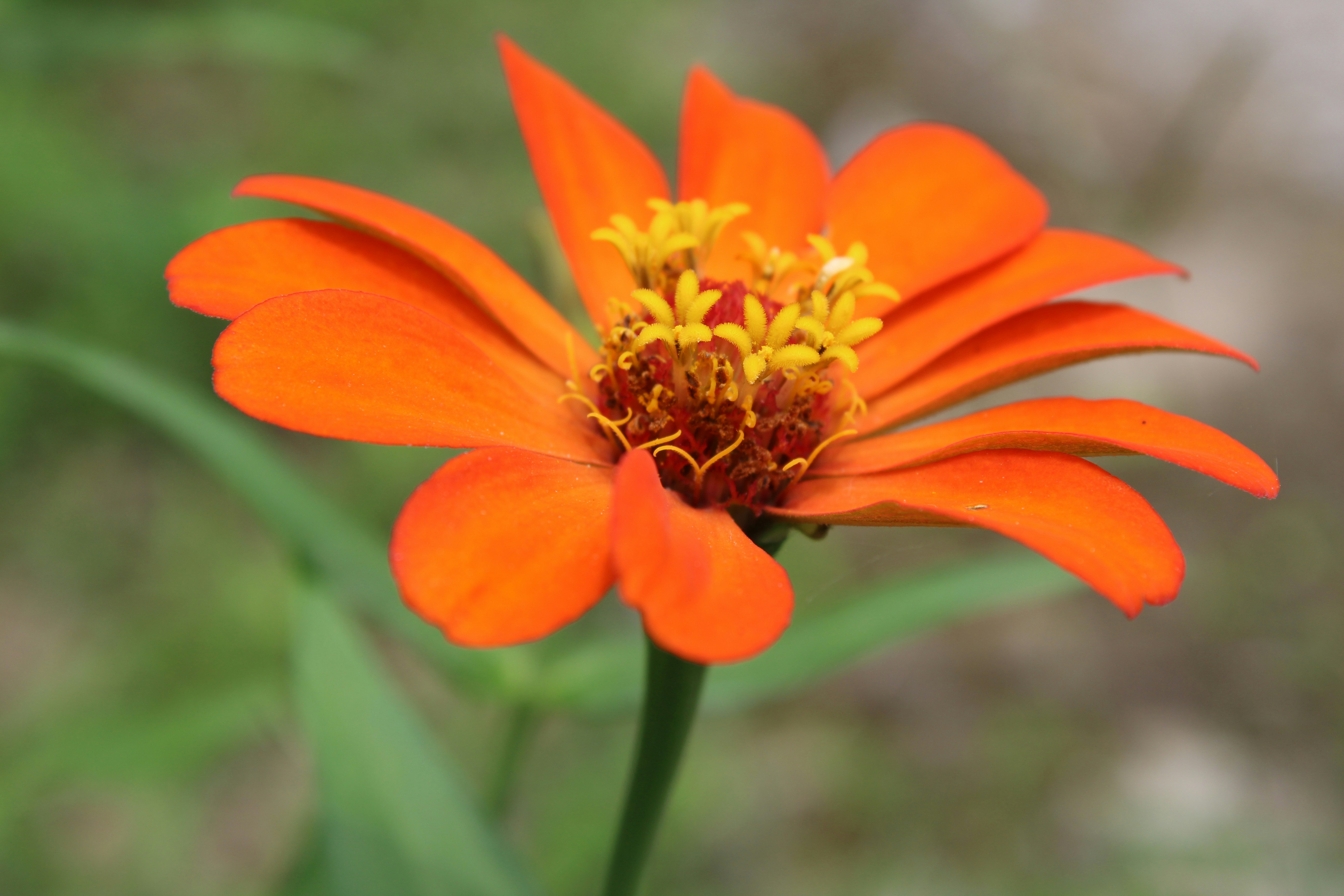 Photo by vipashabhardwaj