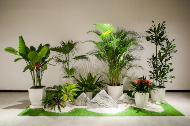 A group of potted plants sitting on top of a green rug