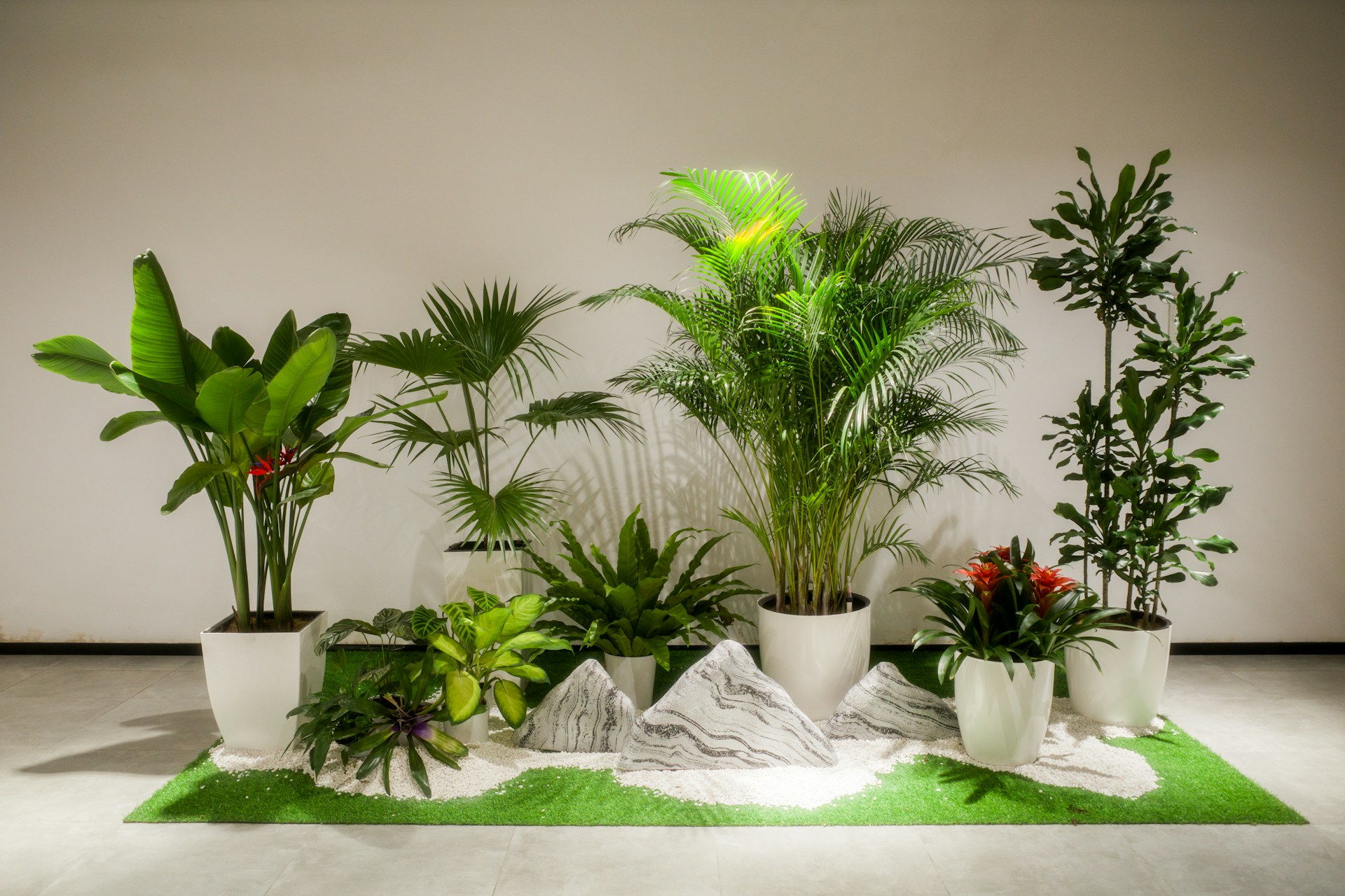 A group of potted plants sitting on top of a green rug