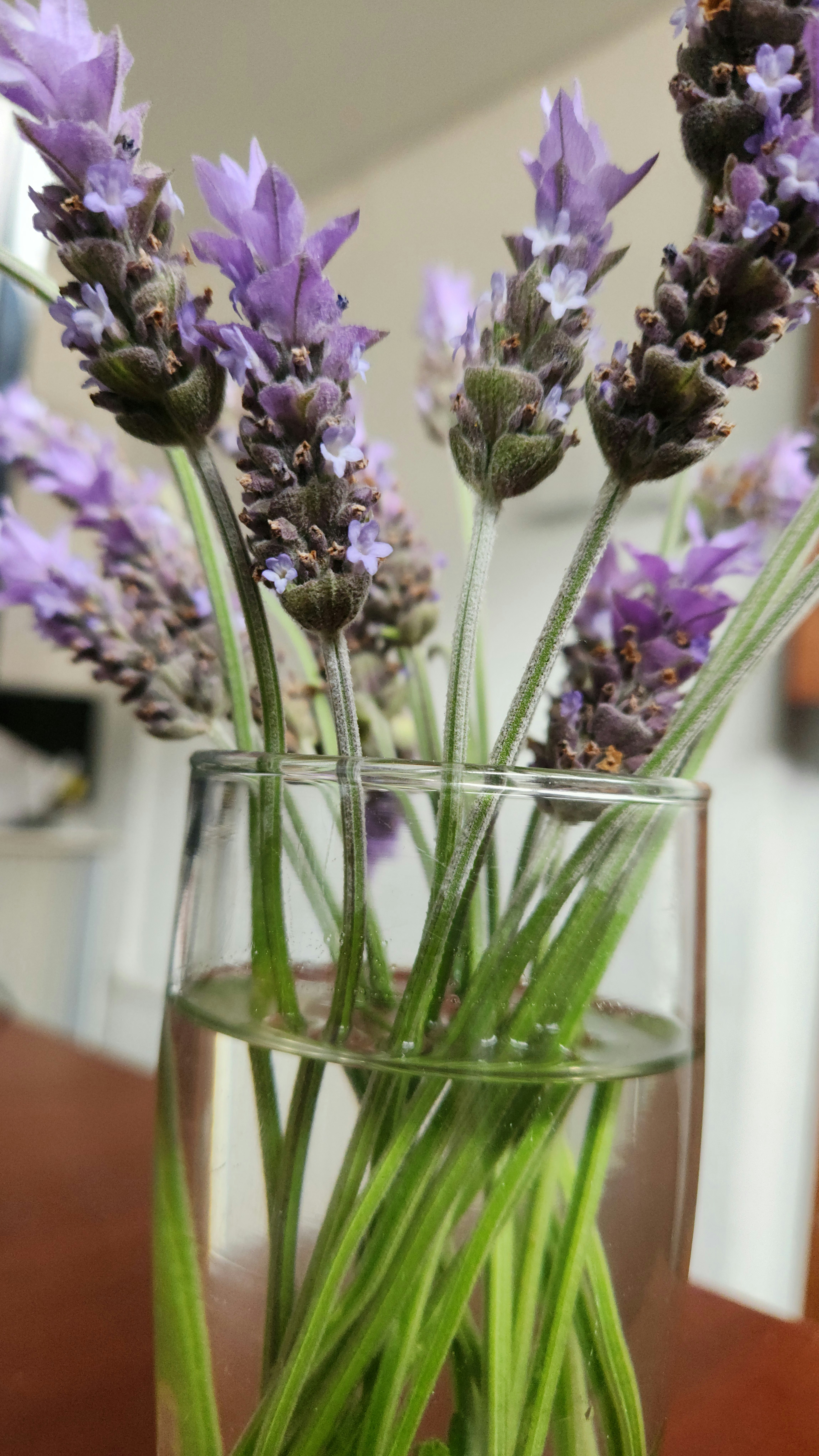 Photo by solomonaanda