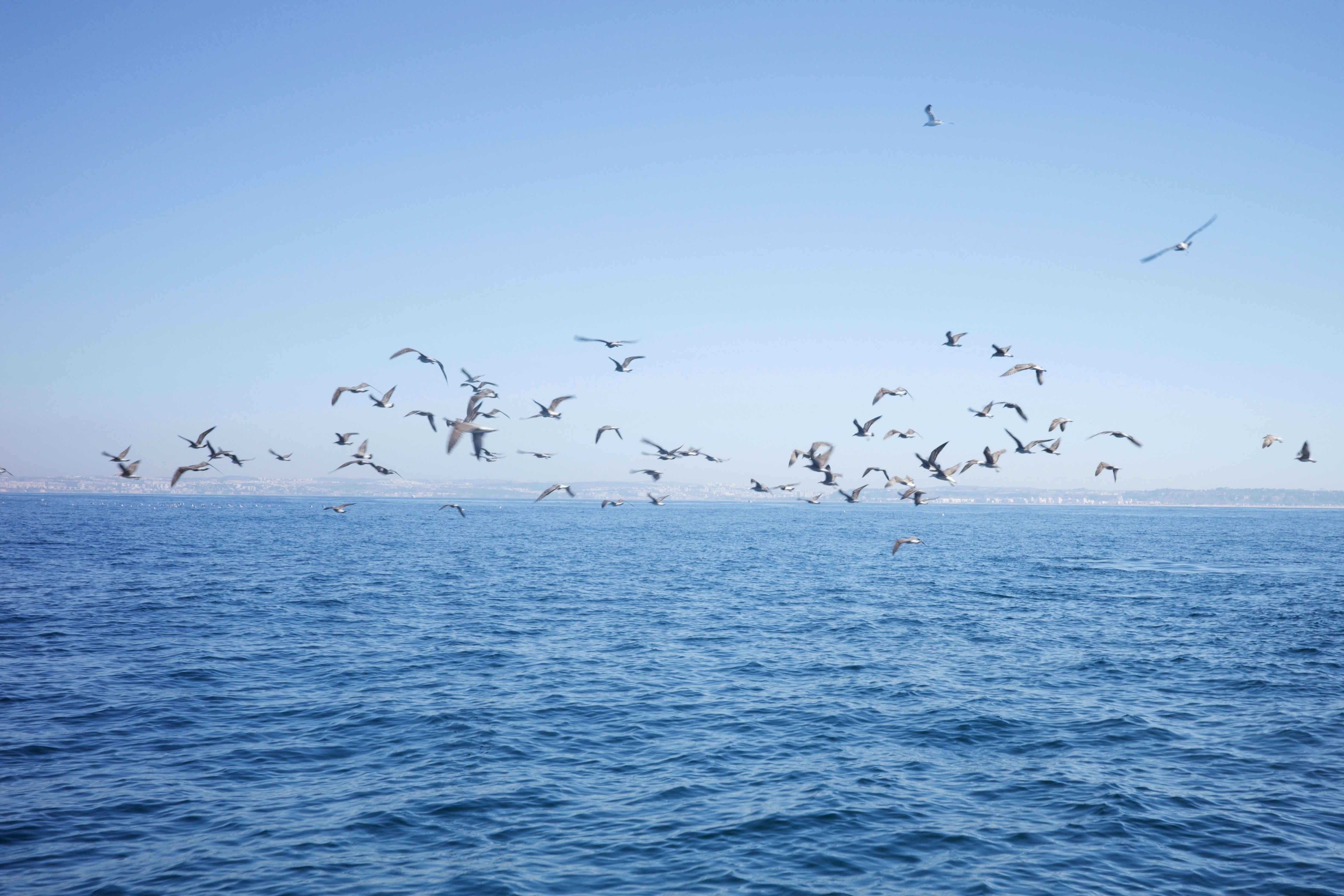 Photo by ninaschneider