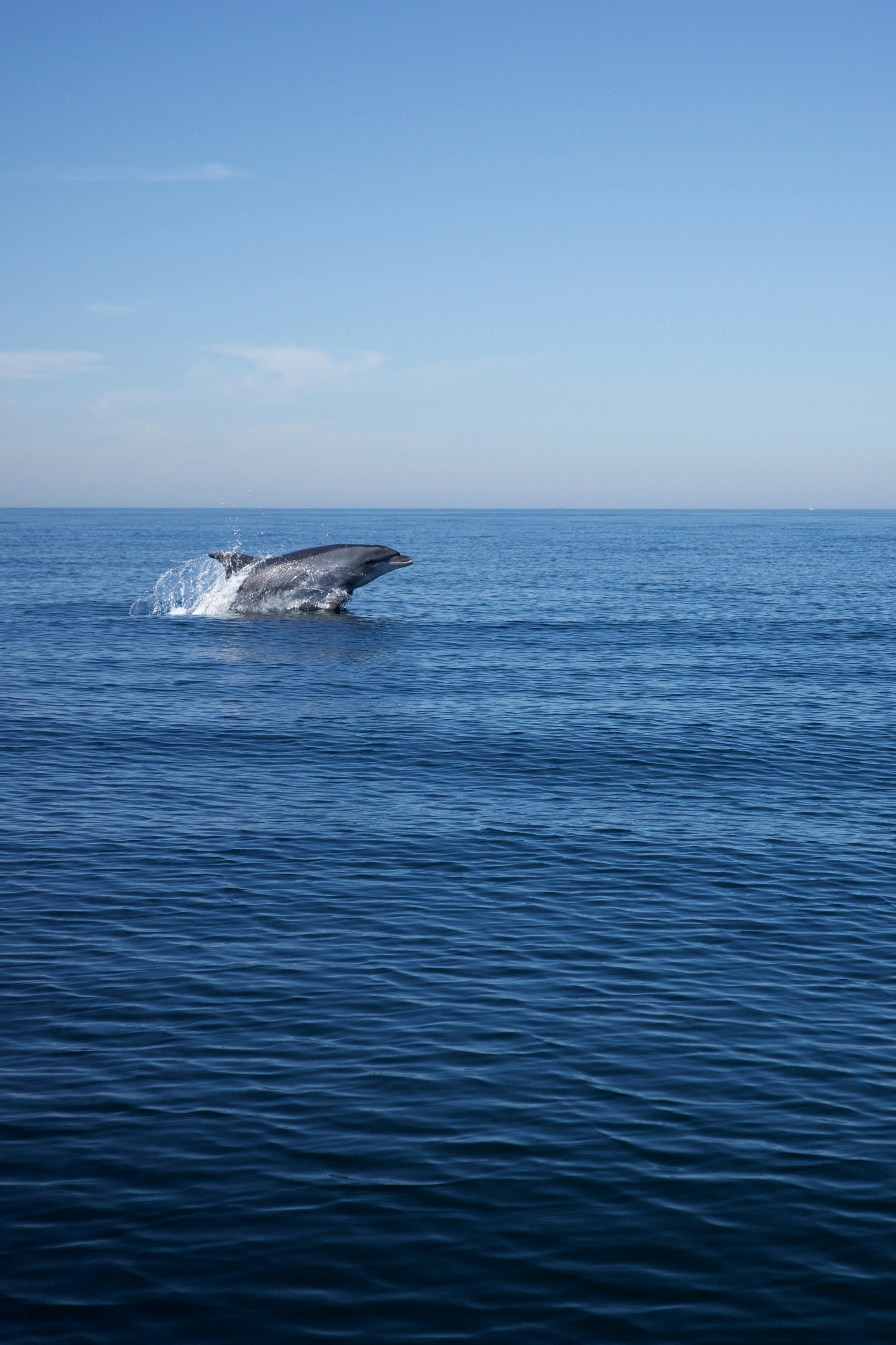 Photo by ninaschneider