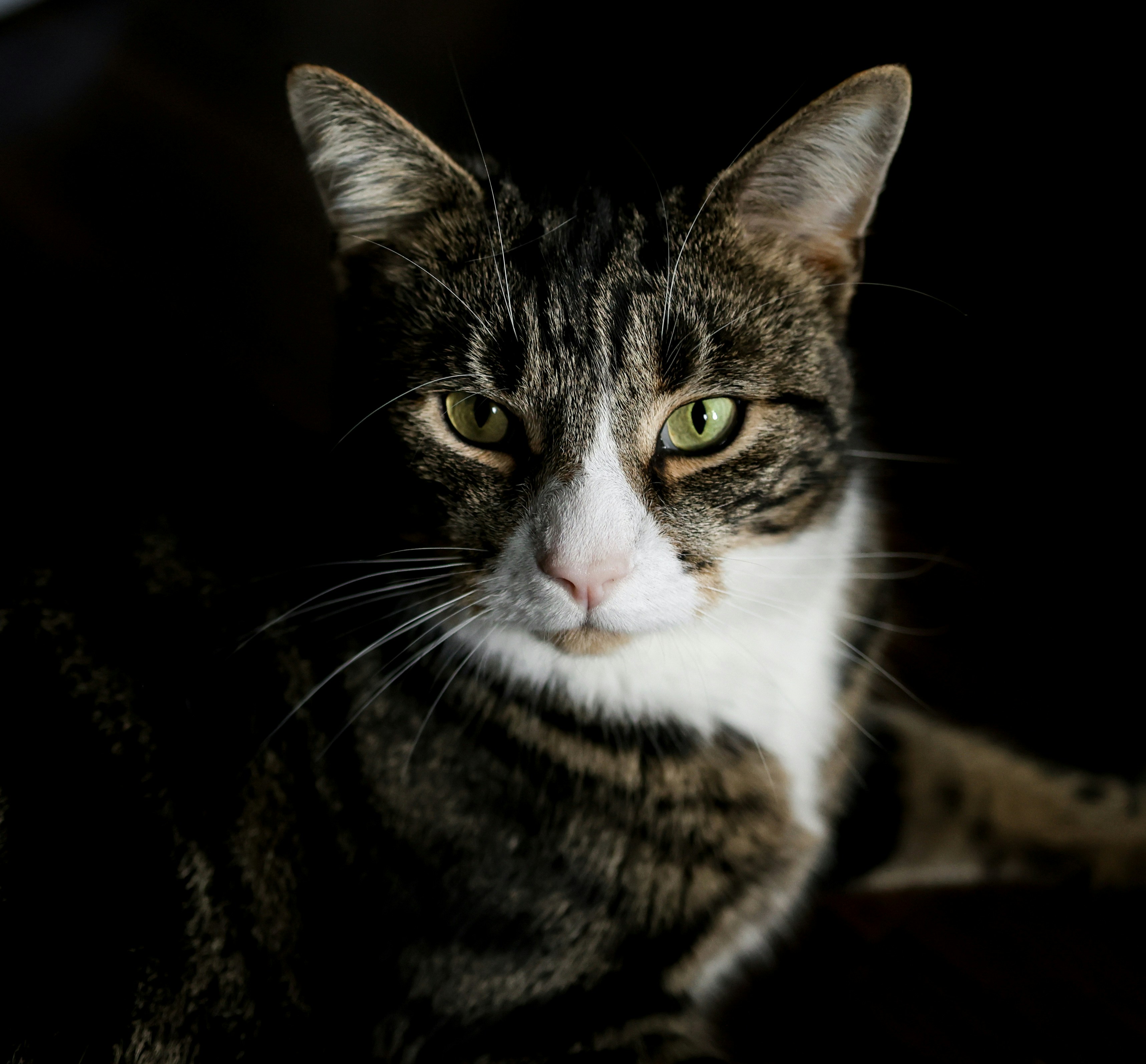 Photo by dianarafira