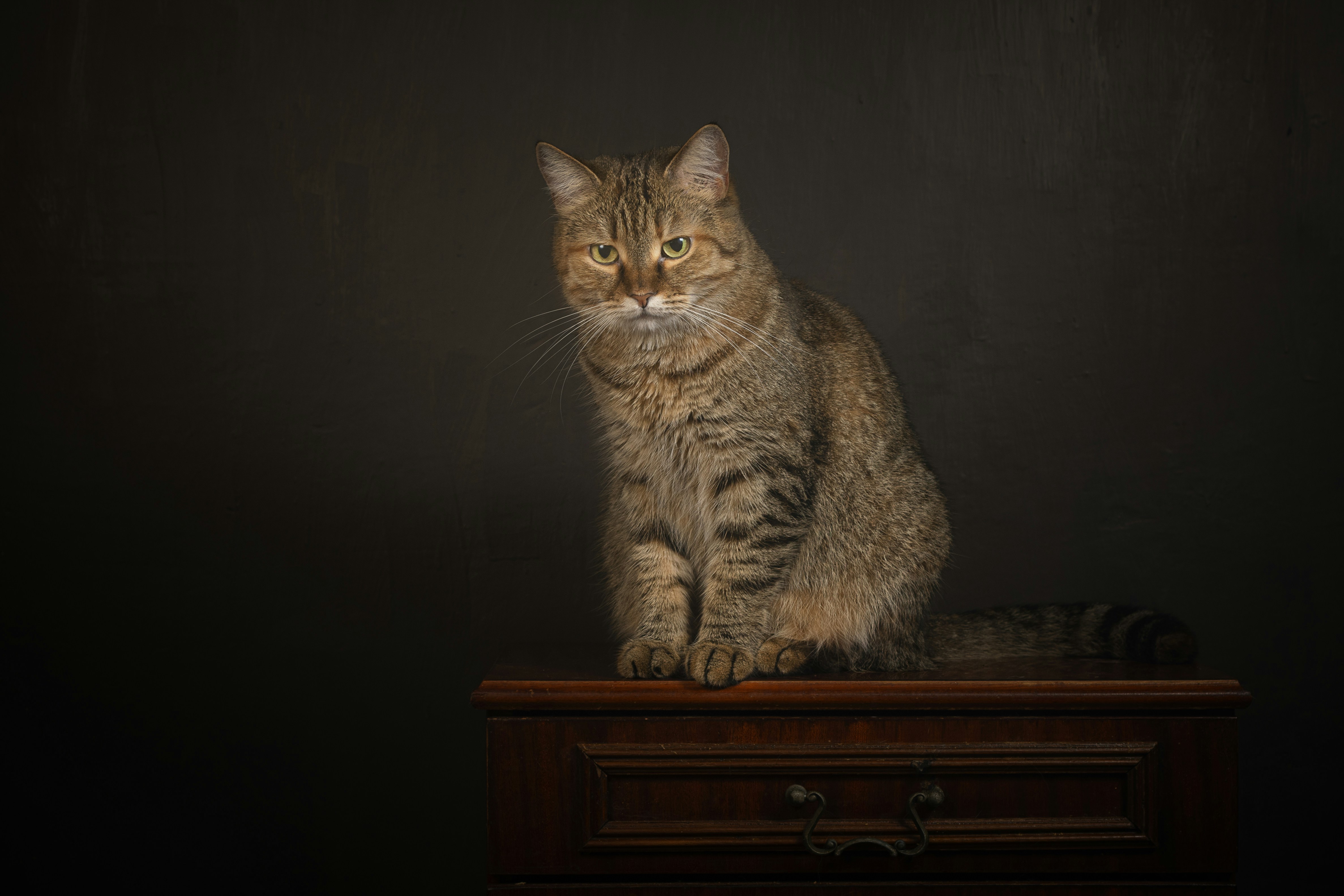 Executive portrait