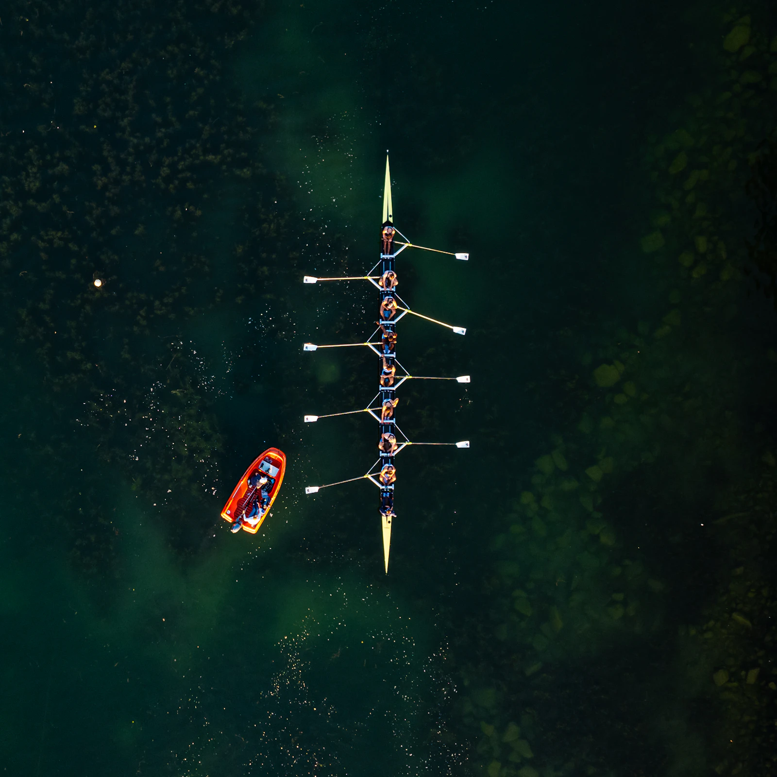 Aerial view of a rowing crew moving in coordinated motion