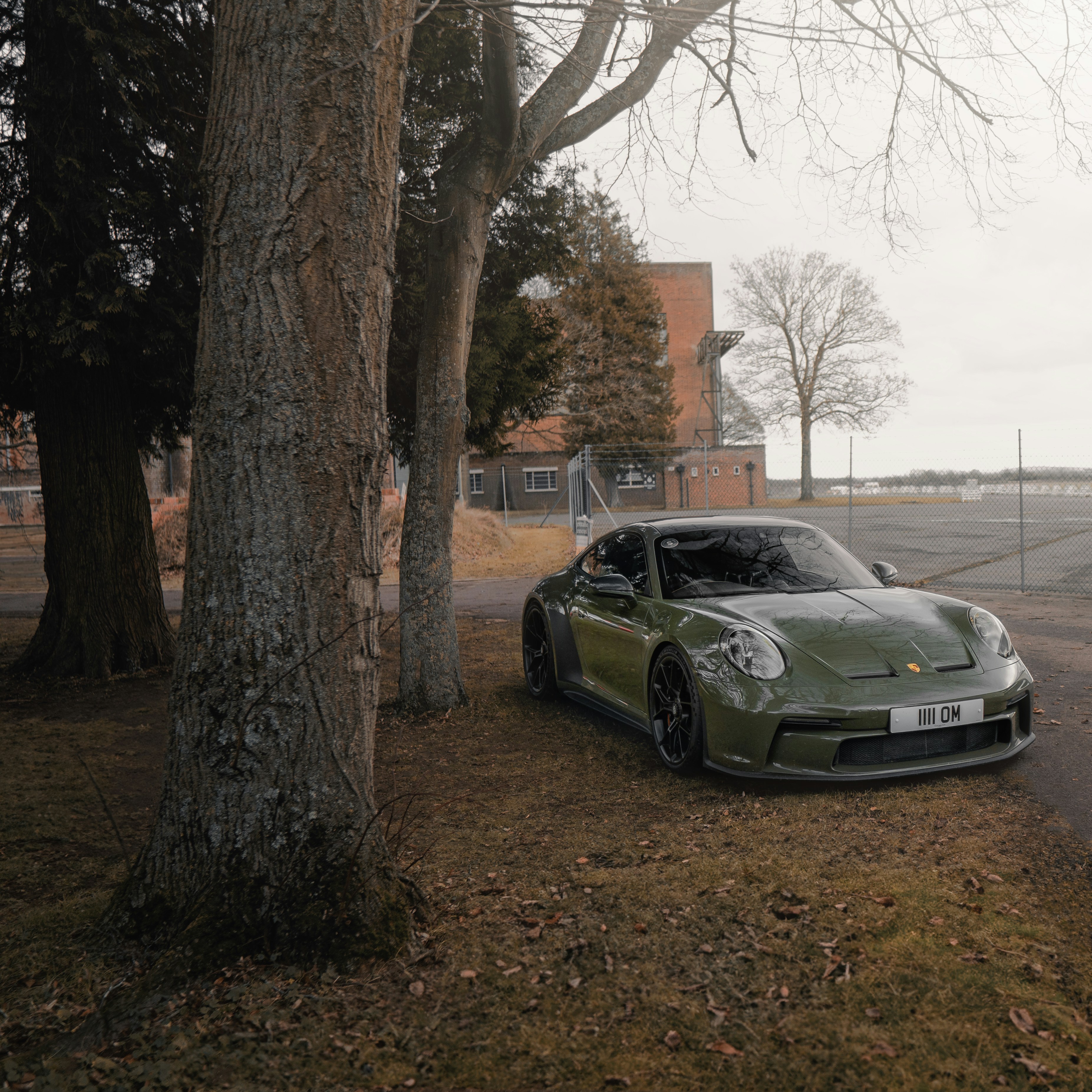 A green sports car parked next to a tree