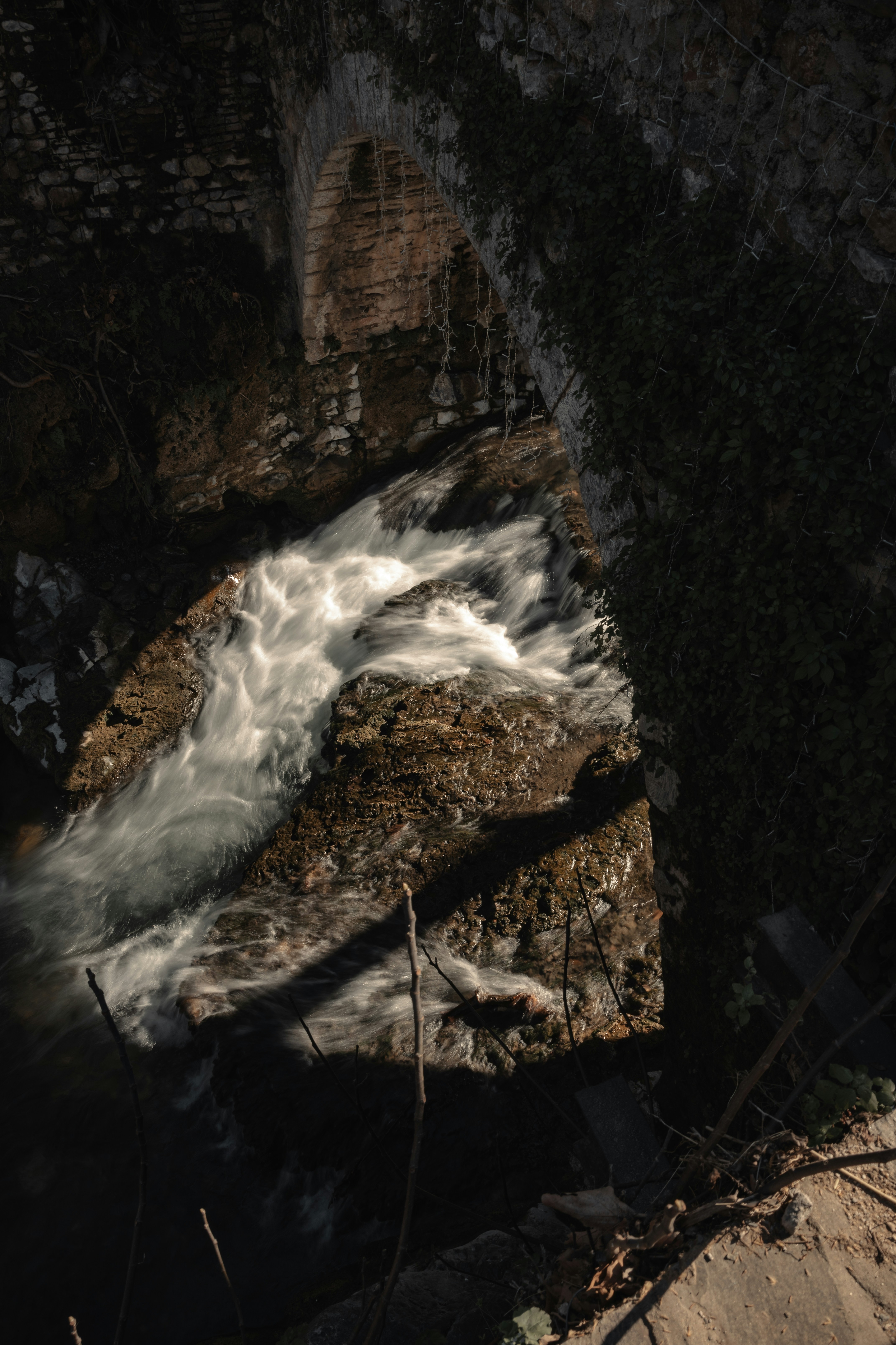 A stream running through a forest filled with trees