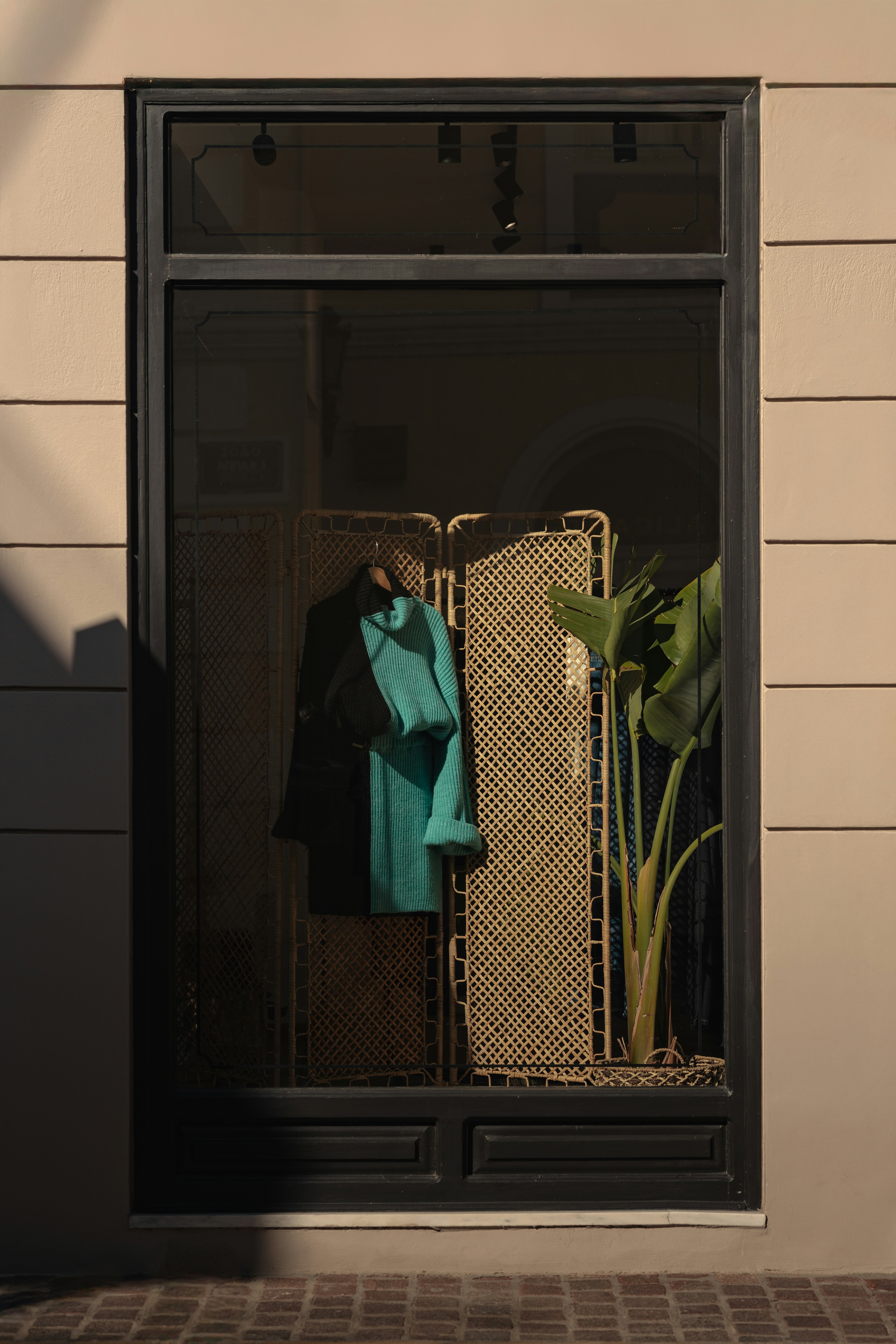A window with a coat and a plant in it