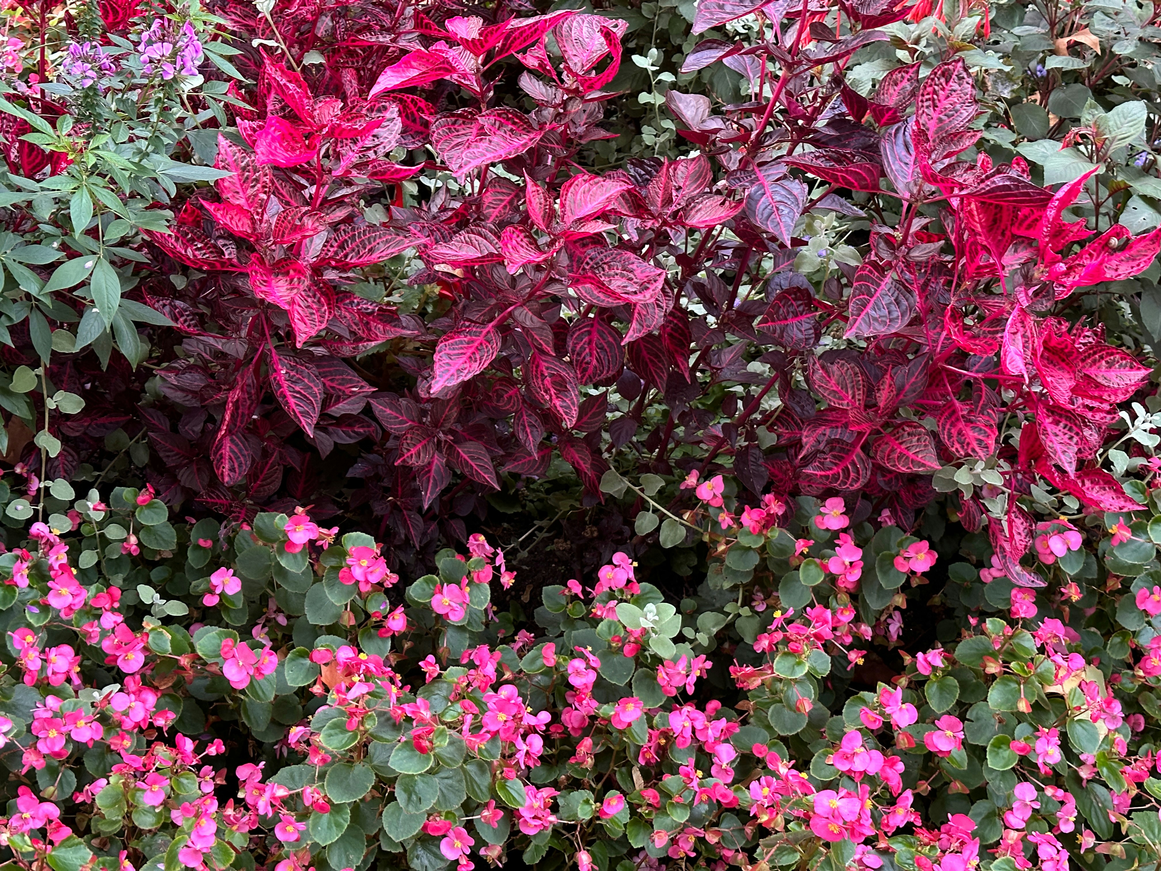 Photo by wald_creations