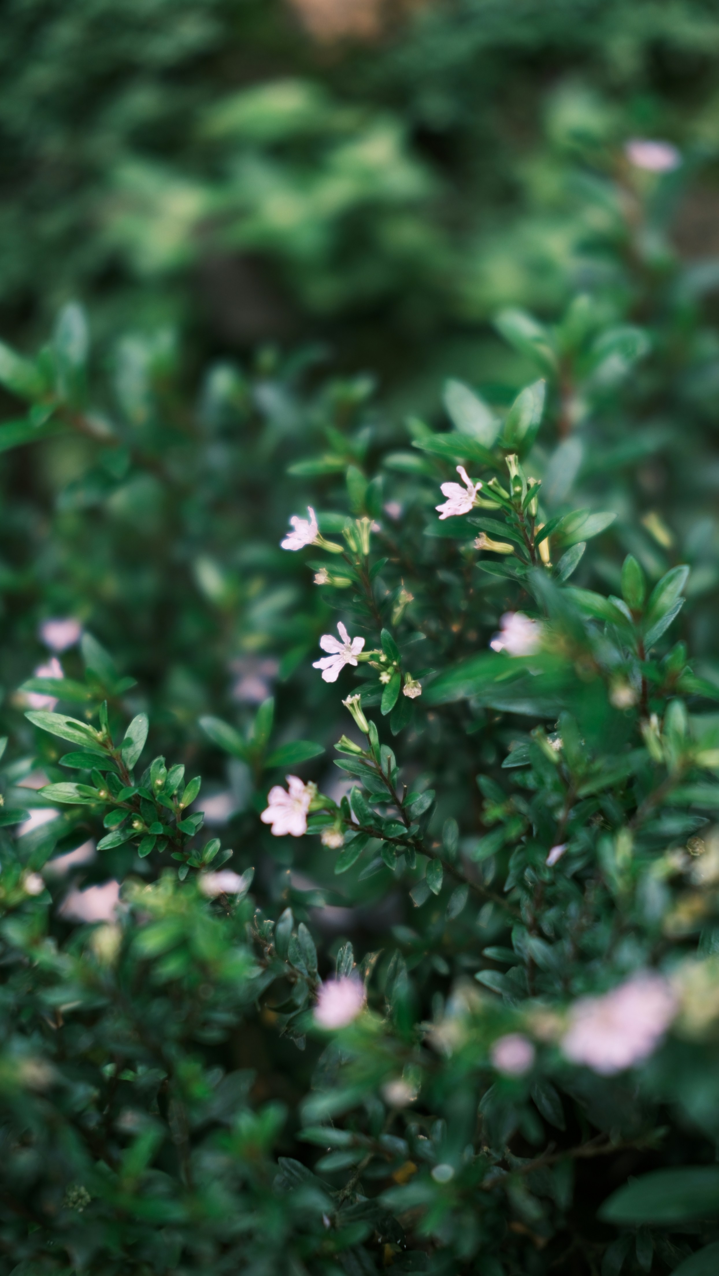 Photo by paopattarapol