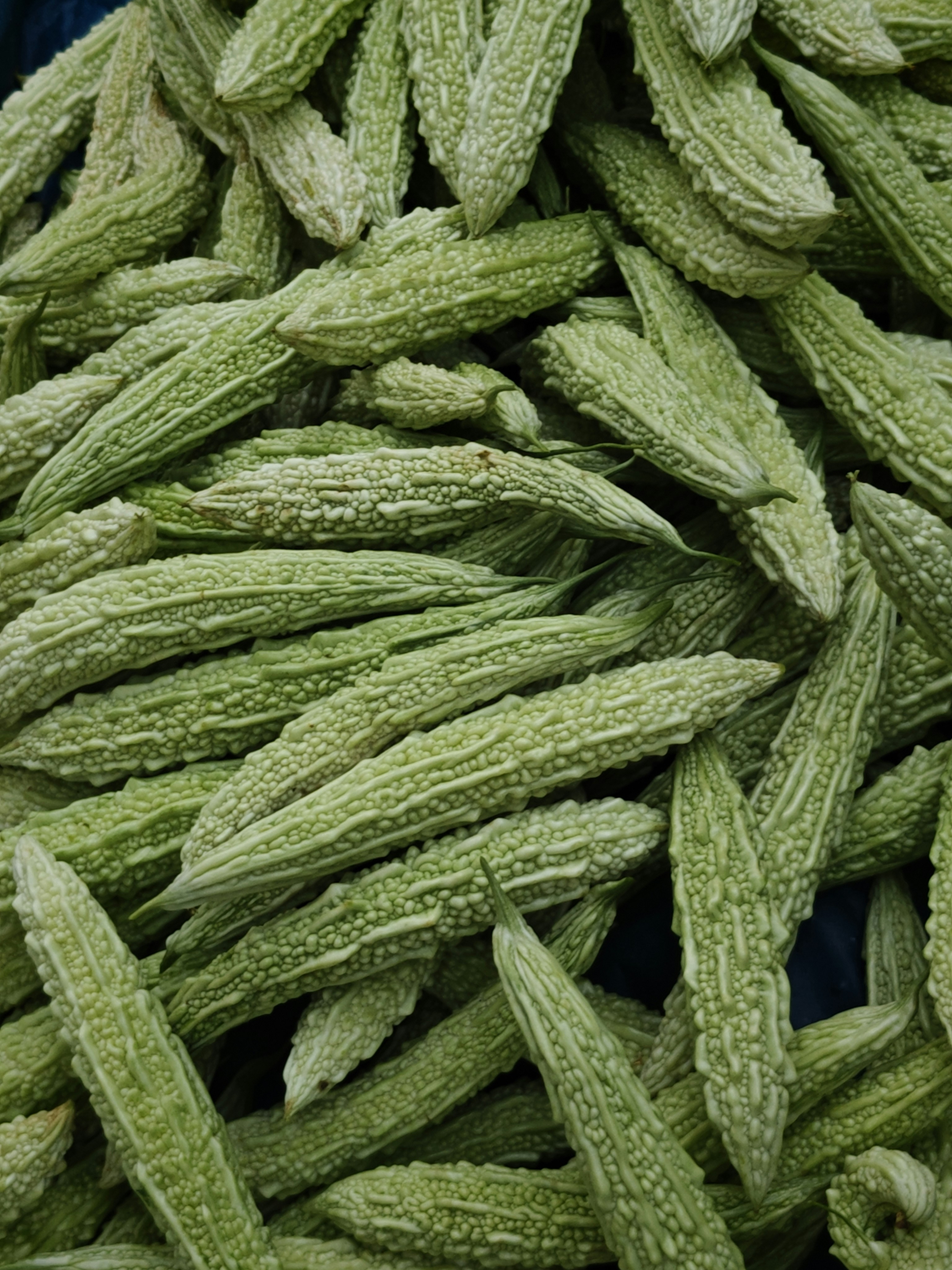 Photo by sinto_parava