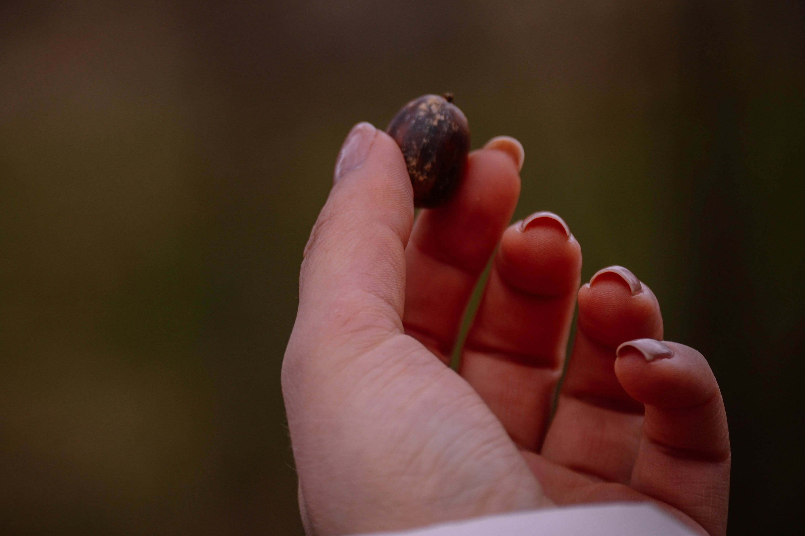 A close up of a person holding a snail