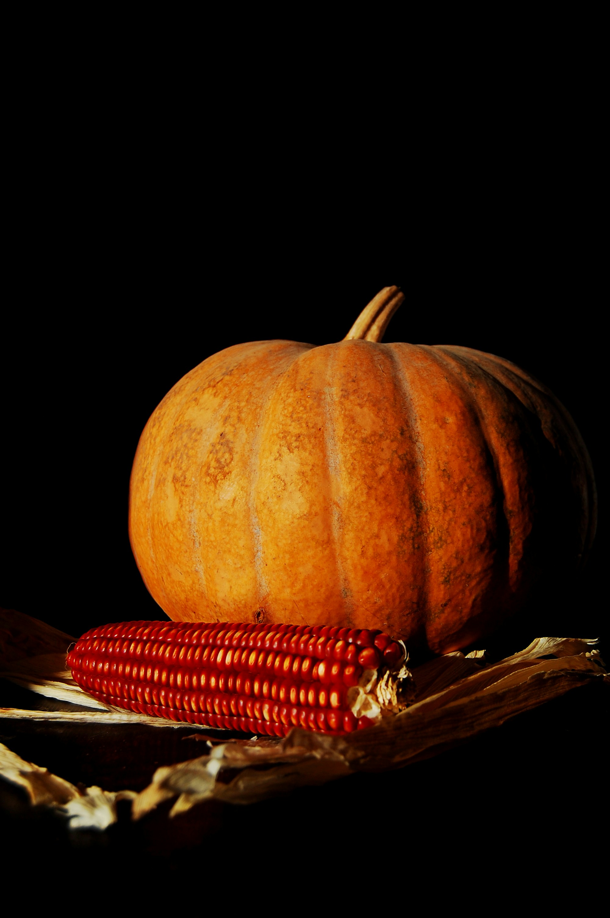 A corn cob and a pumpkin on a black background