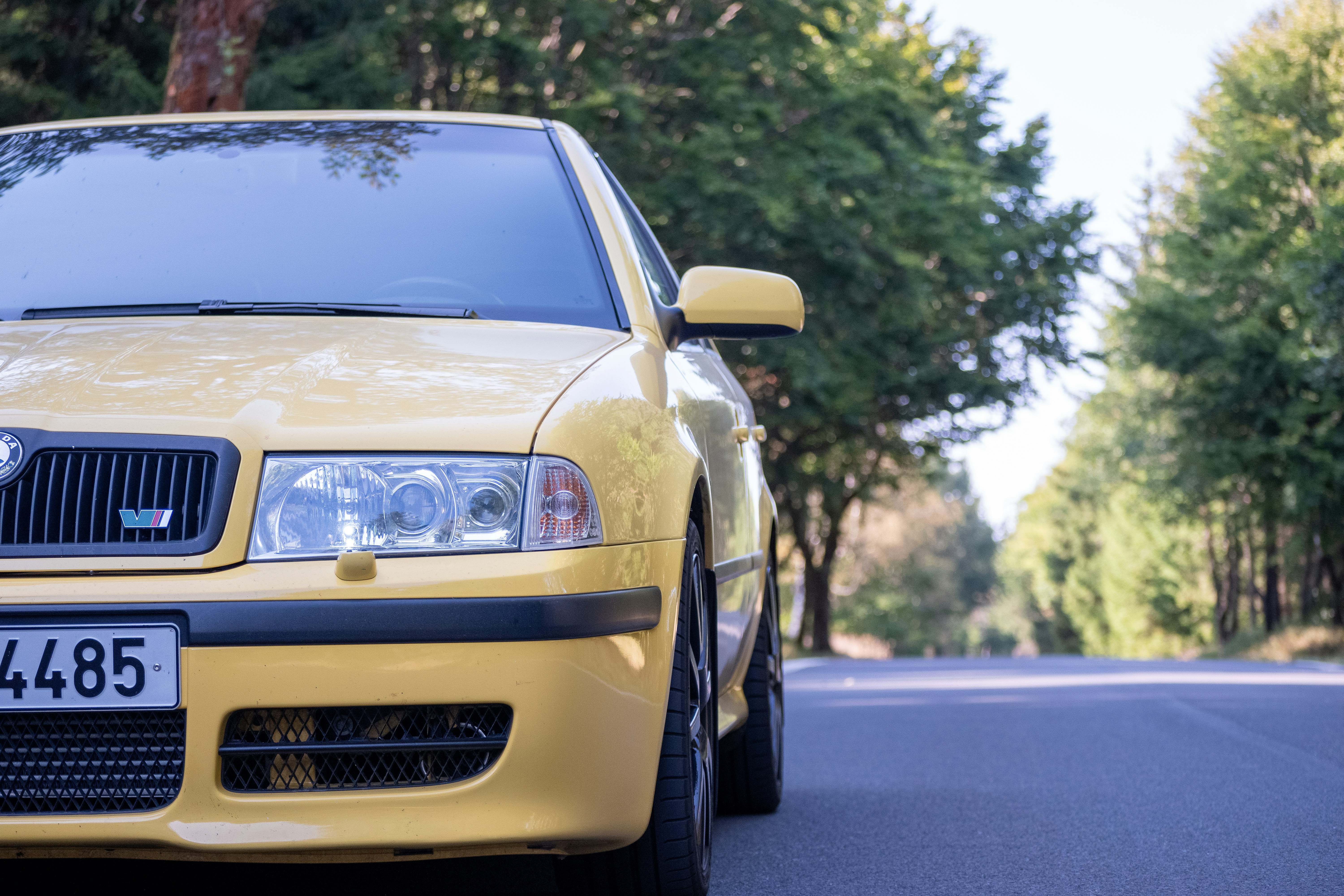 Photo by jirasek_photos