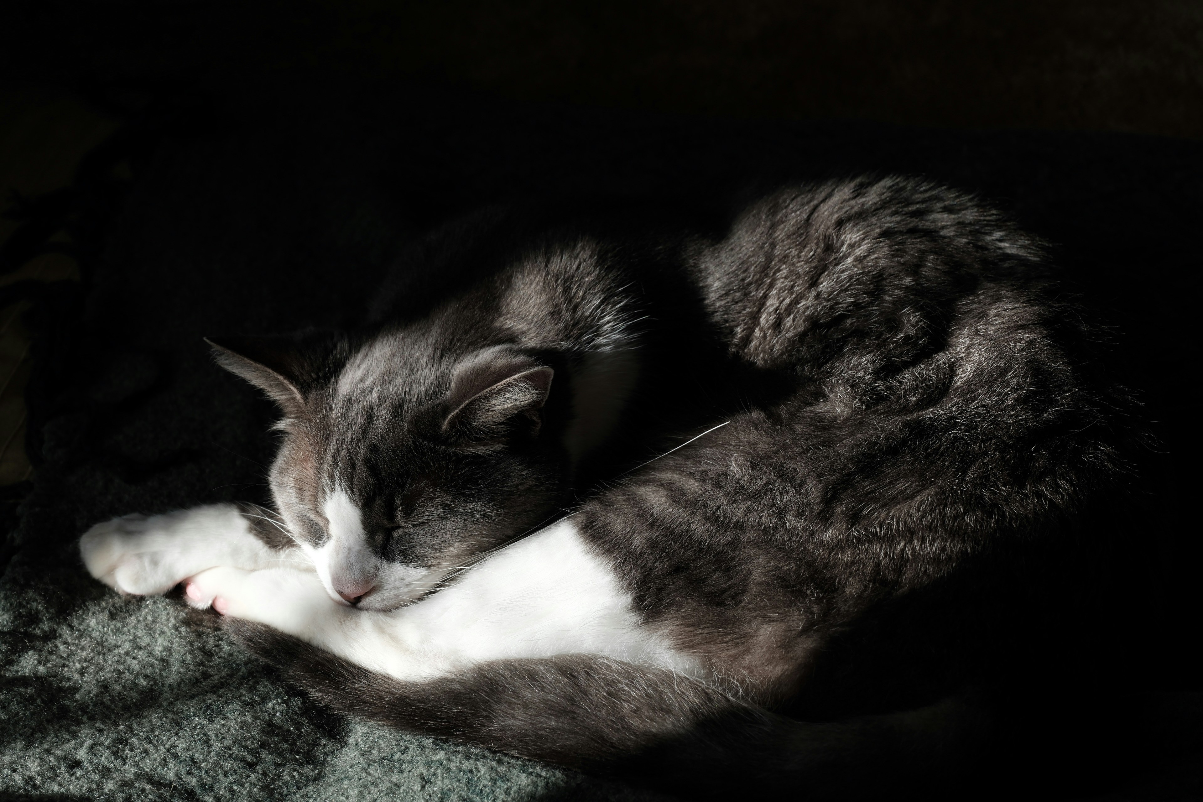 Bedtime Rituals: The Pillow Partner (image credits: unsplash)