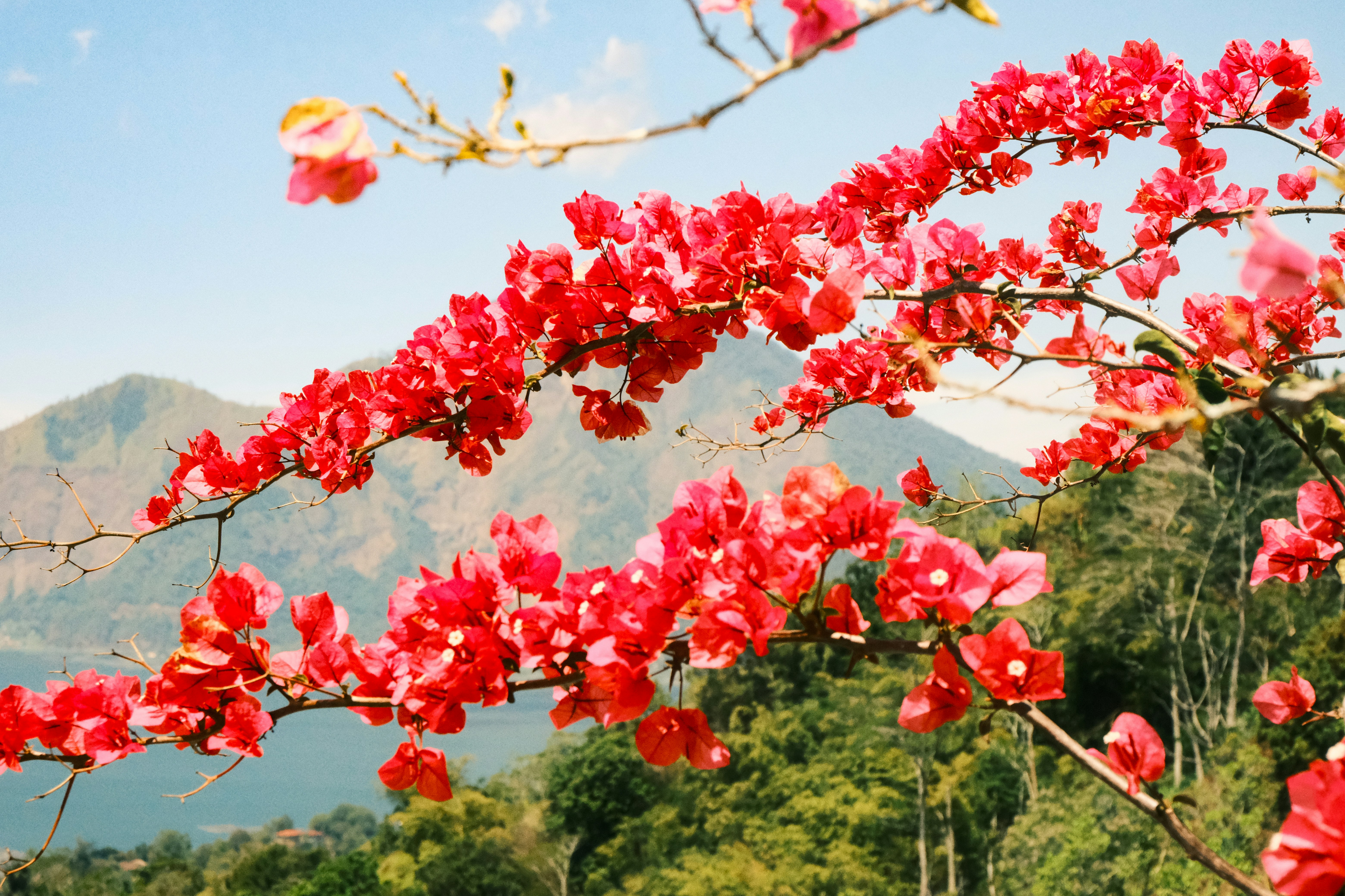 Photo by freethinkel