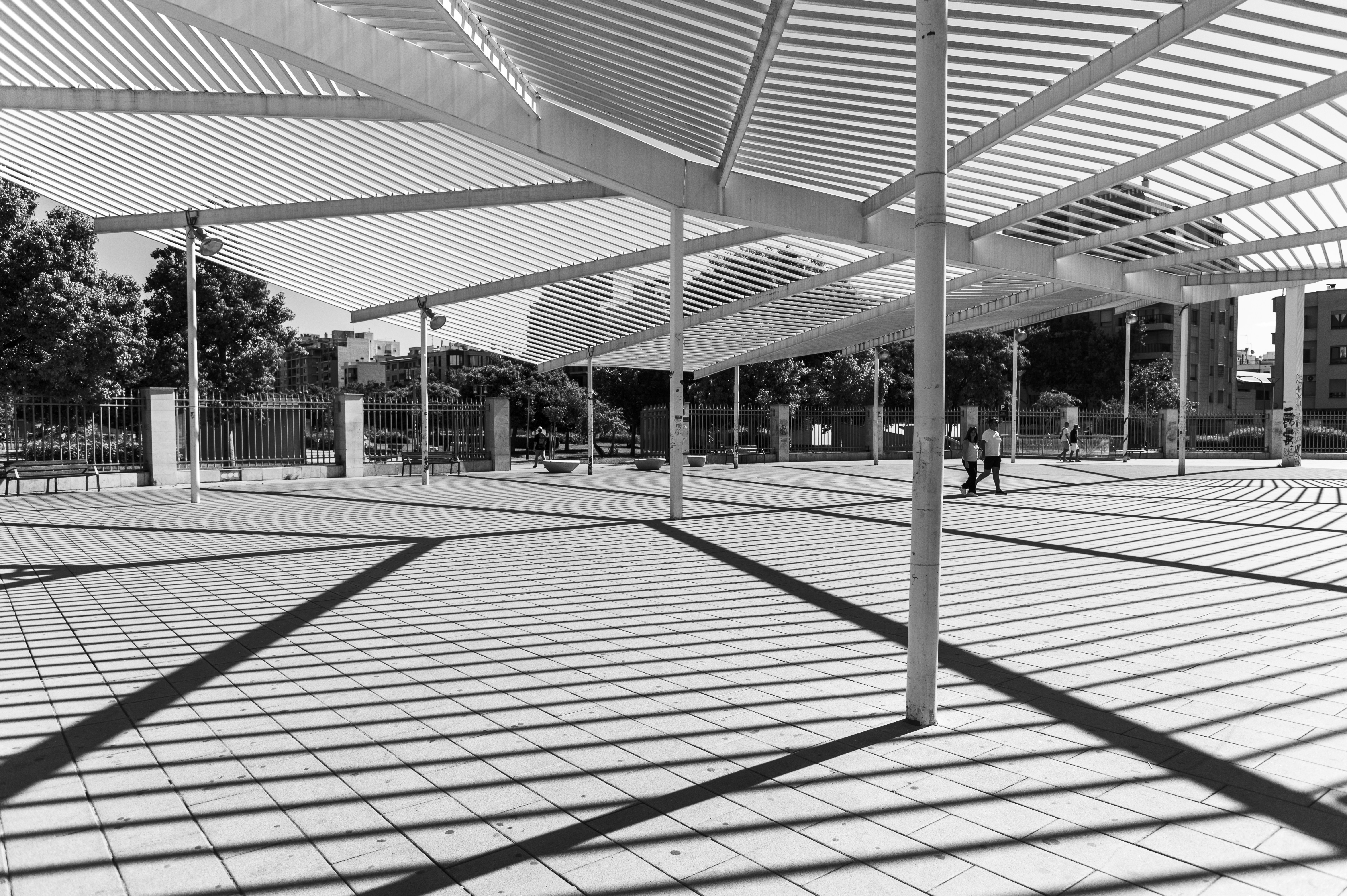 Photo by siebe_vanderhaeghen