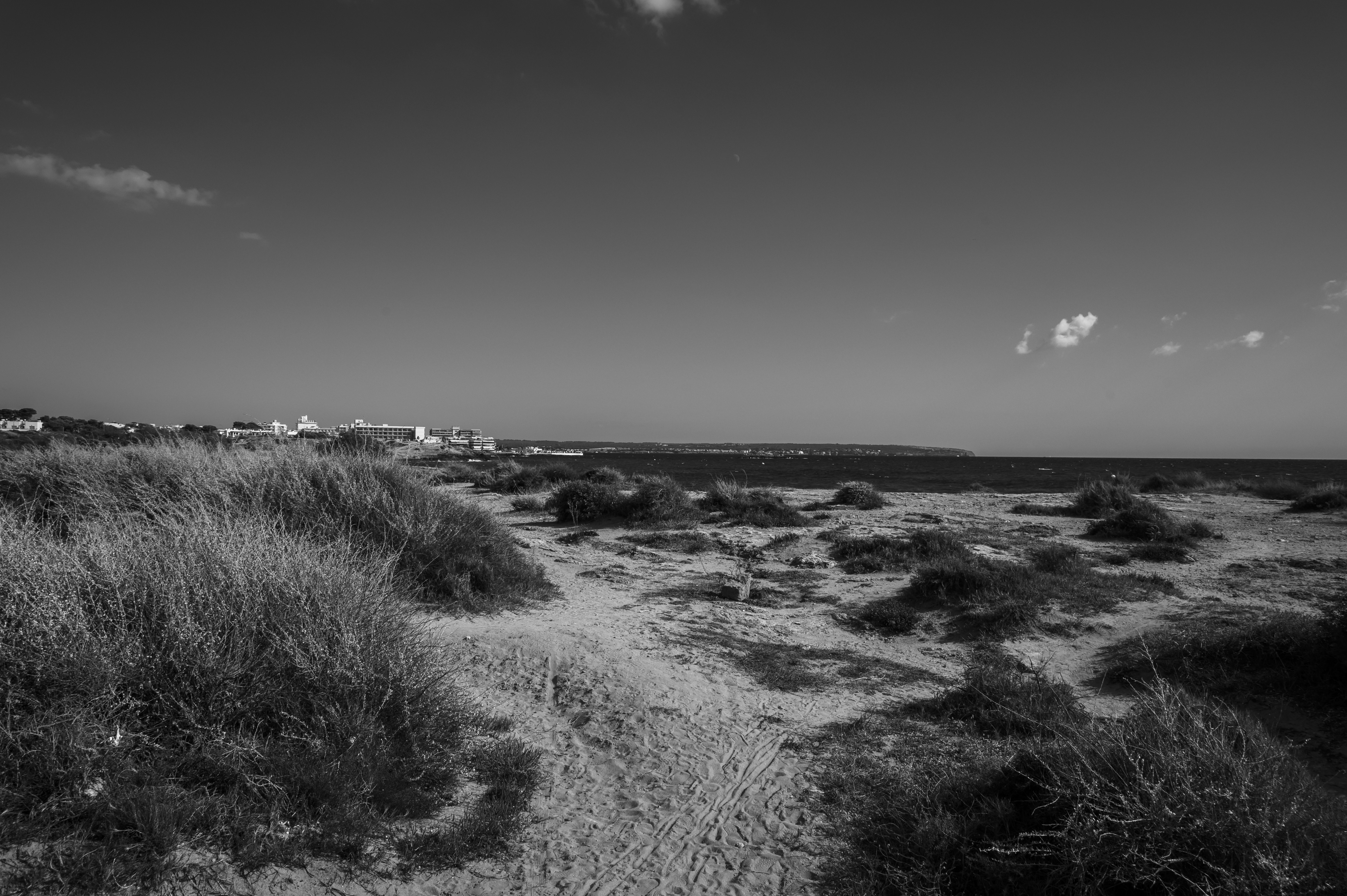 Photo by siebe_vanderhaeghen