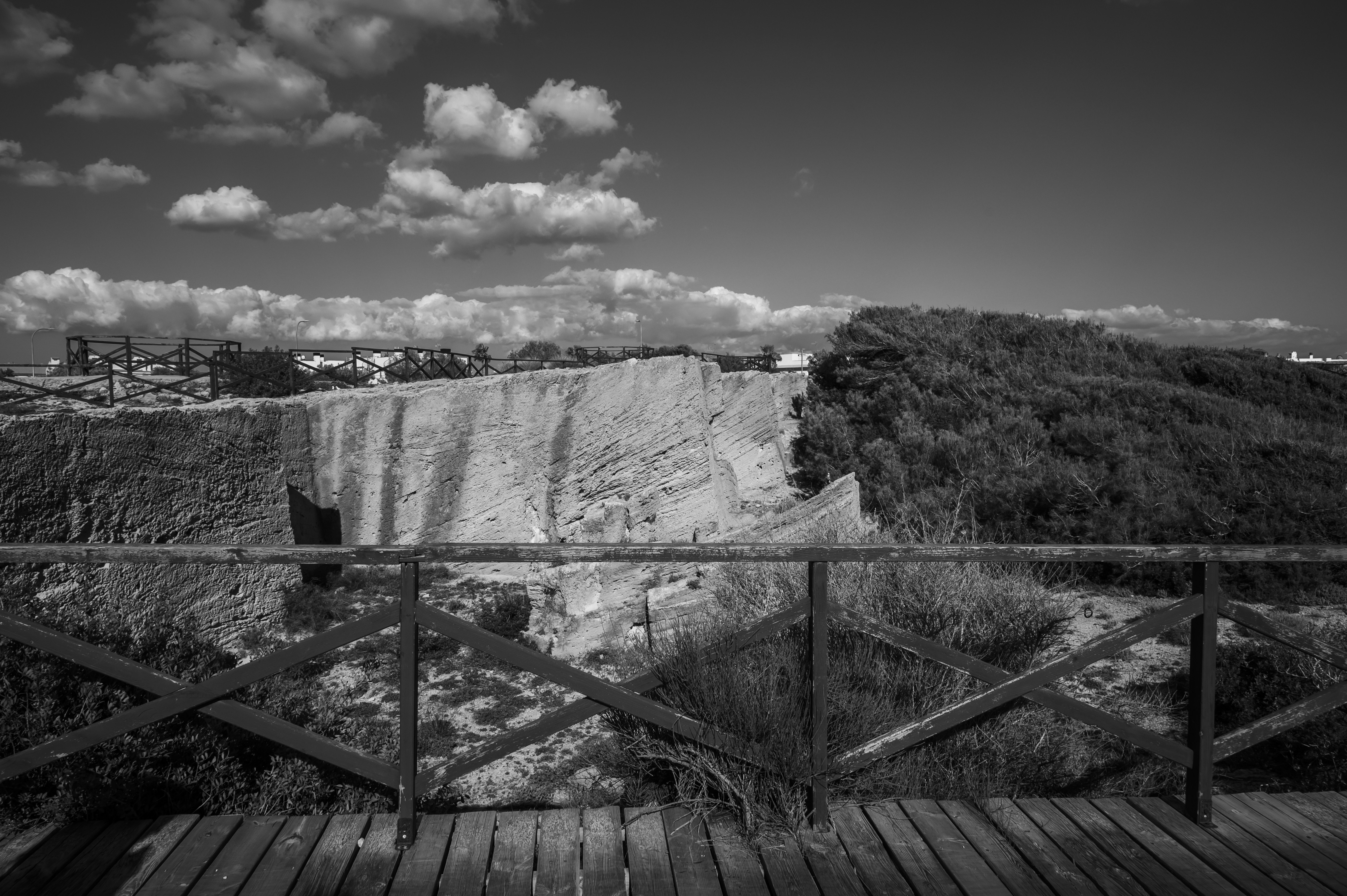 Photo by siebe_vanderhaeghen