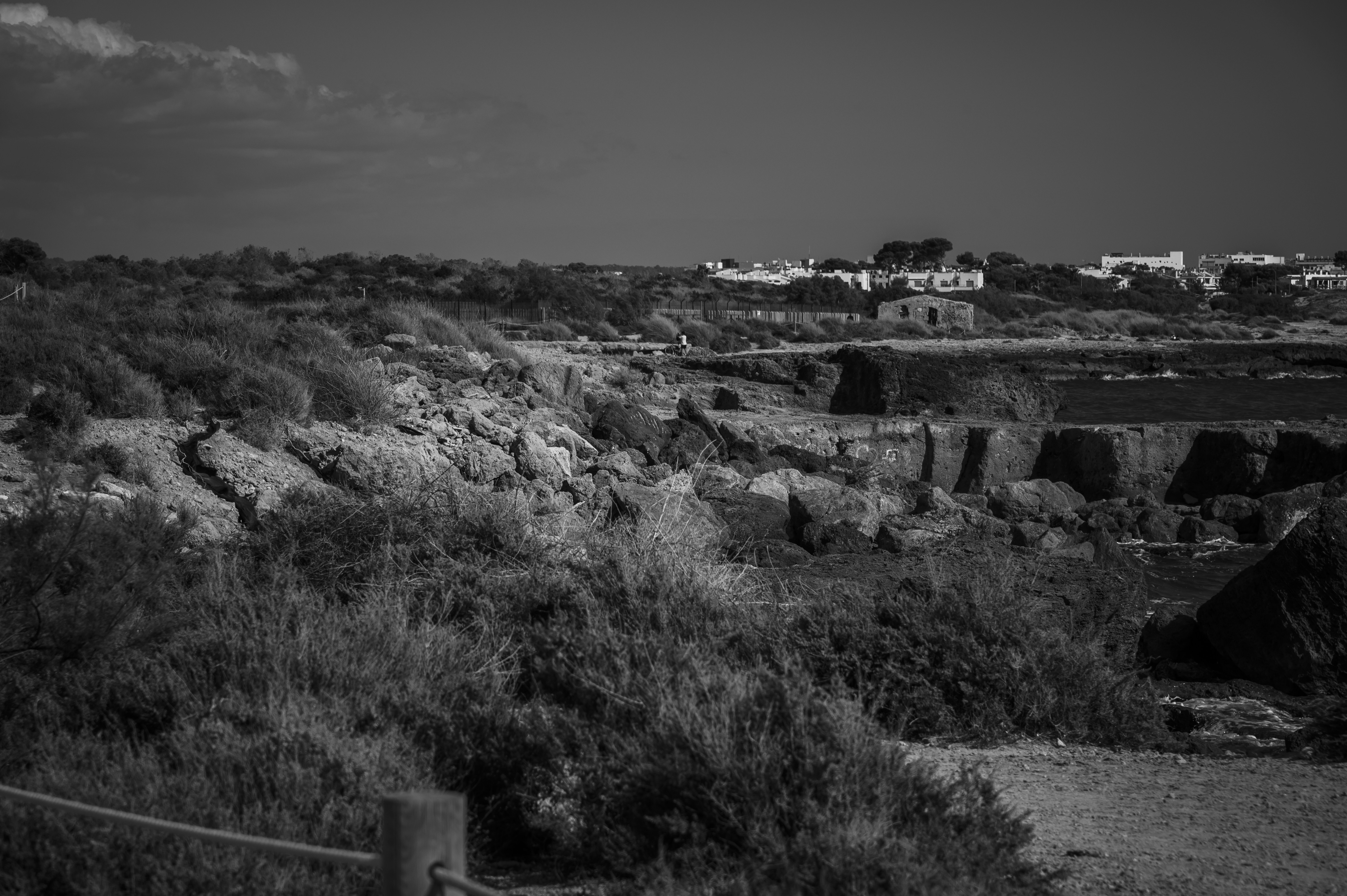 A black and white photo of a beach