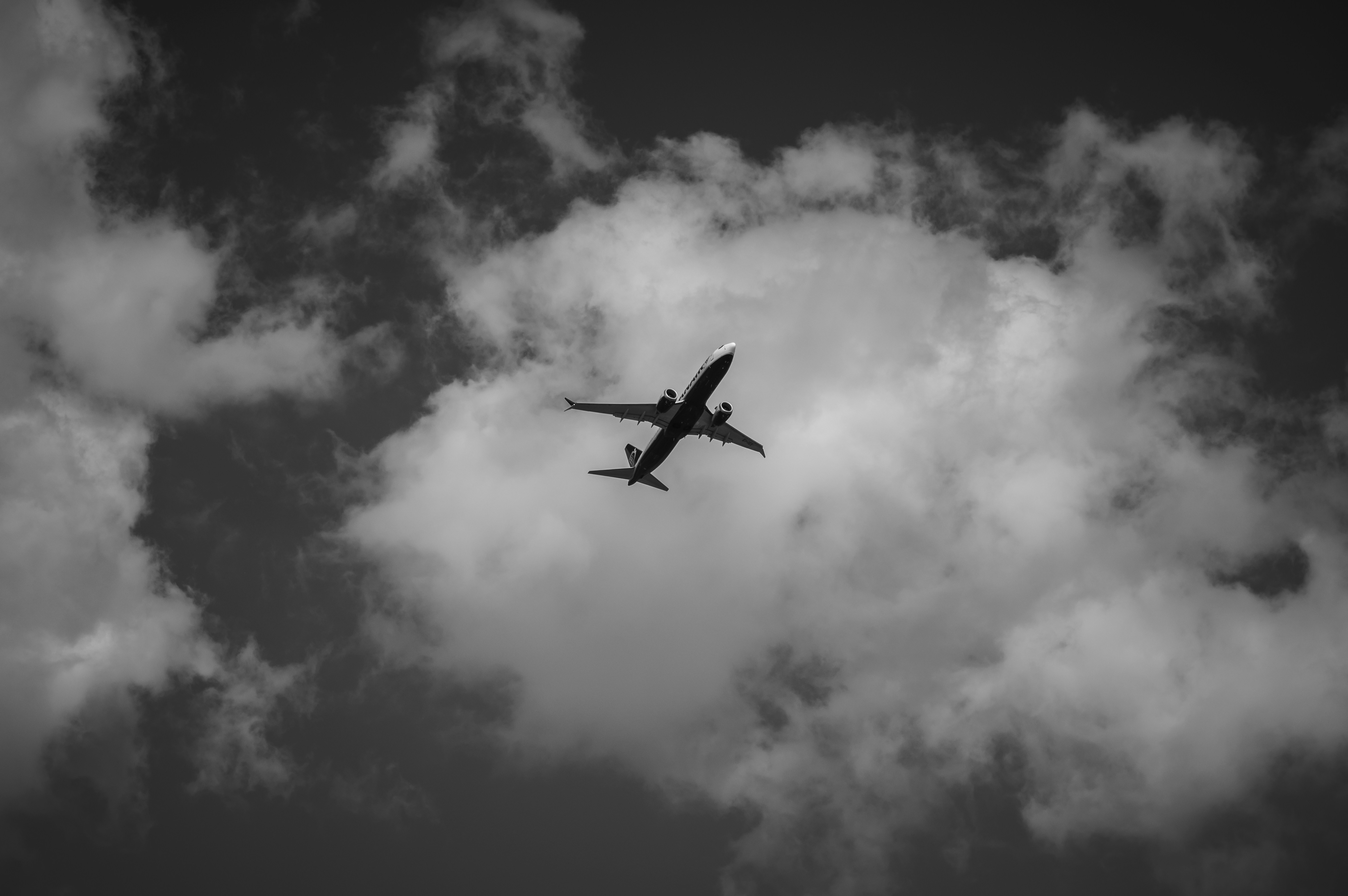 Photo by siebe_vanderhaeghen