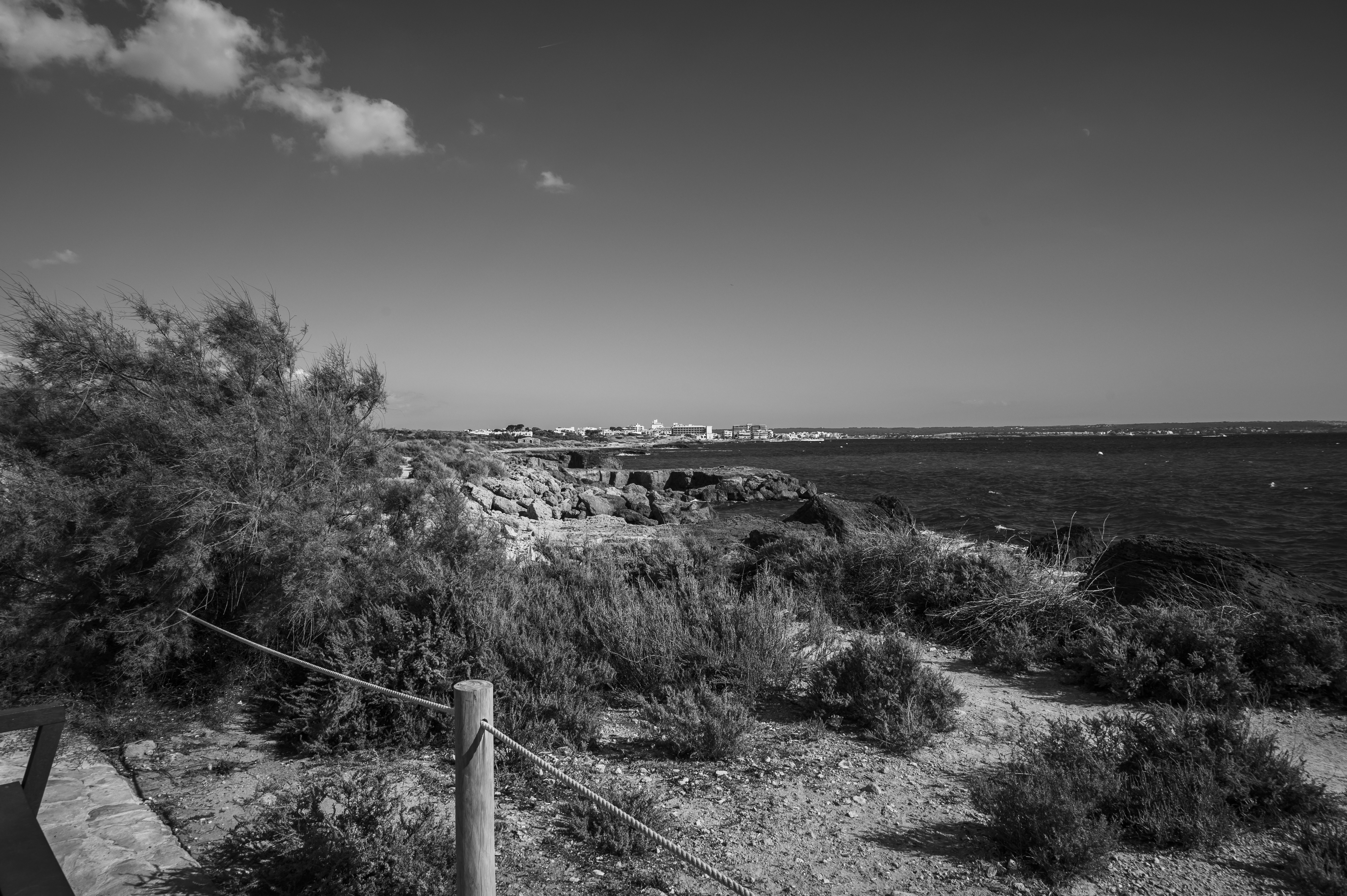 Photo by siebe_vanderhaeghen