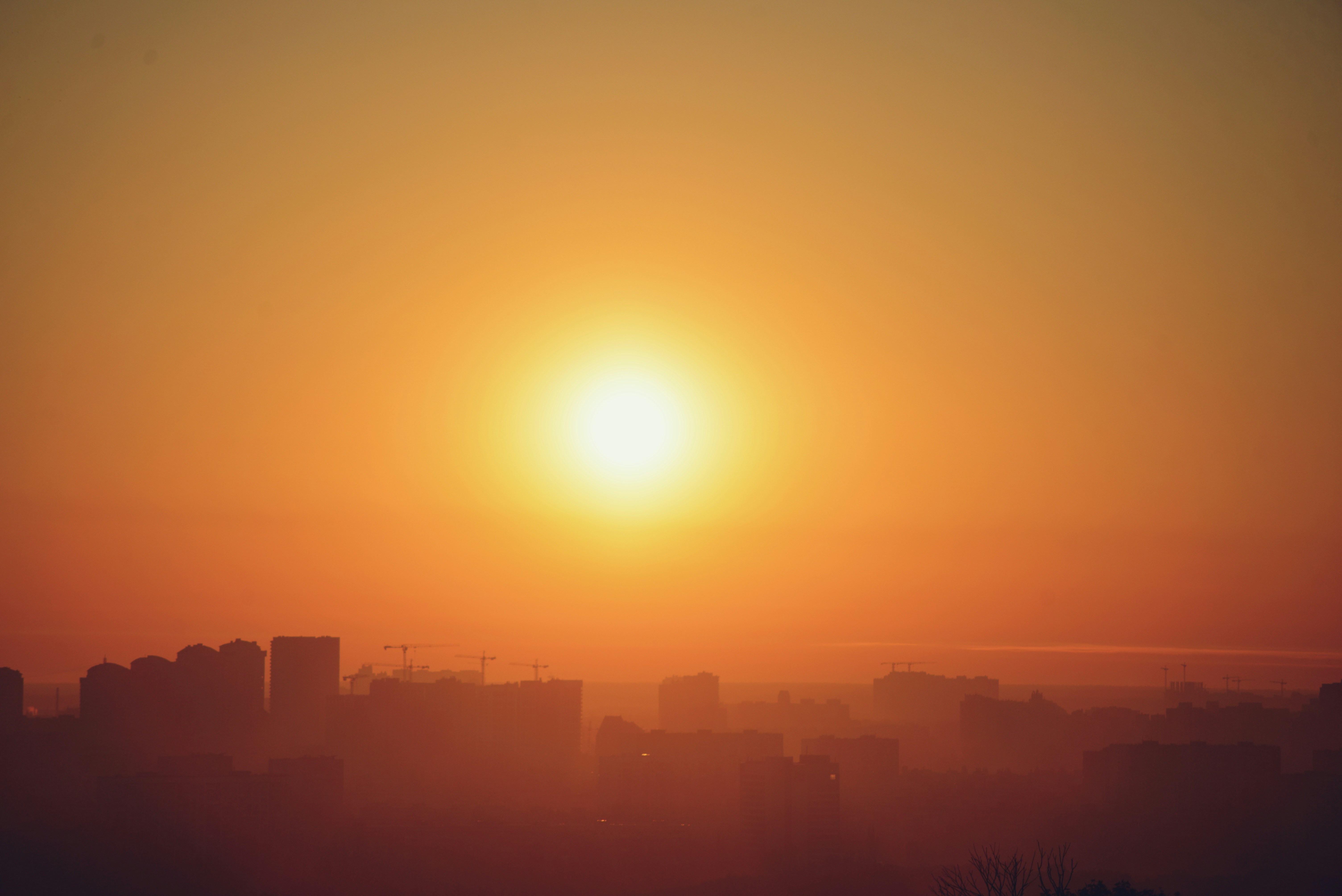 Photo by cherstve_pechivo