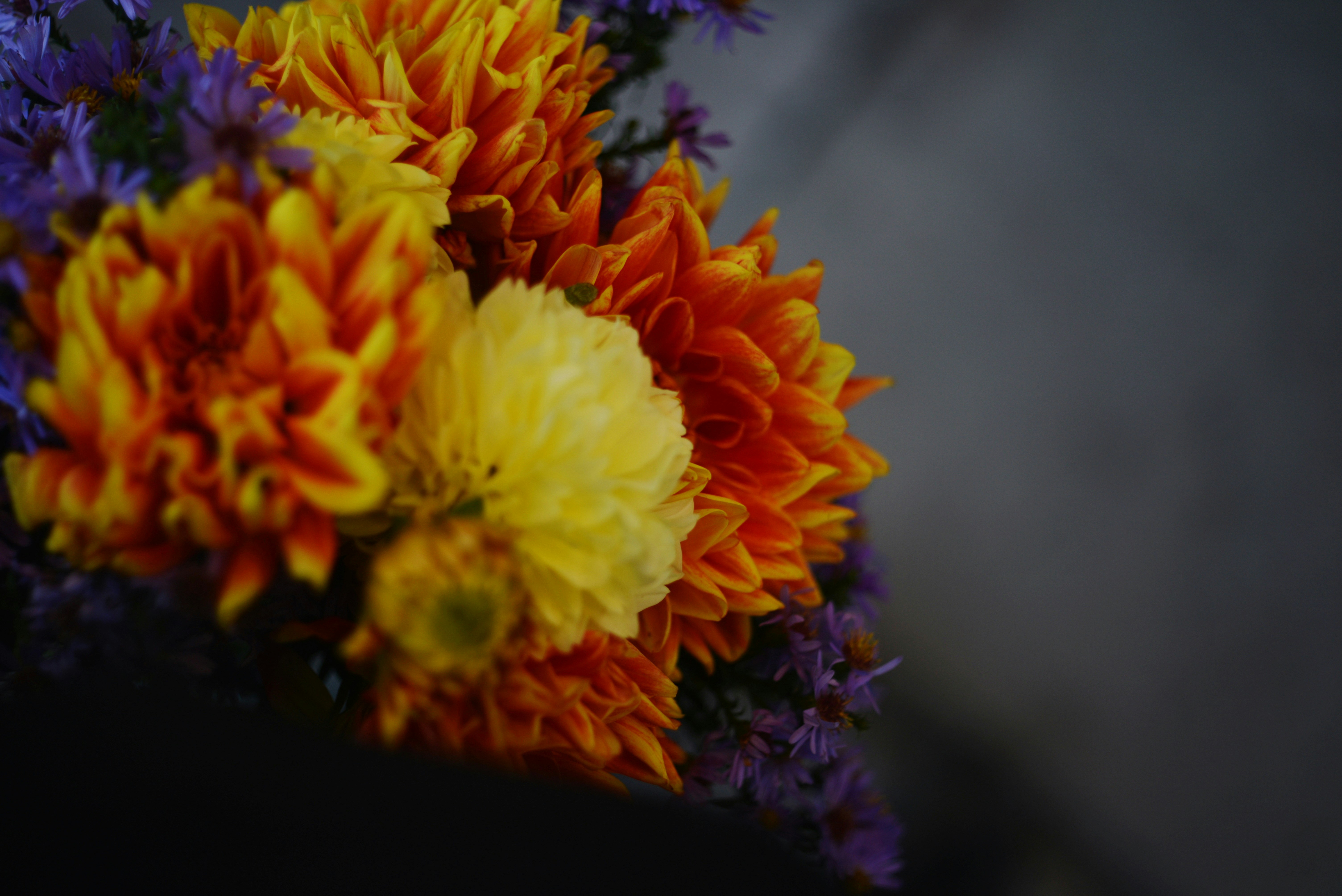 Photo by cherstve_pechivo