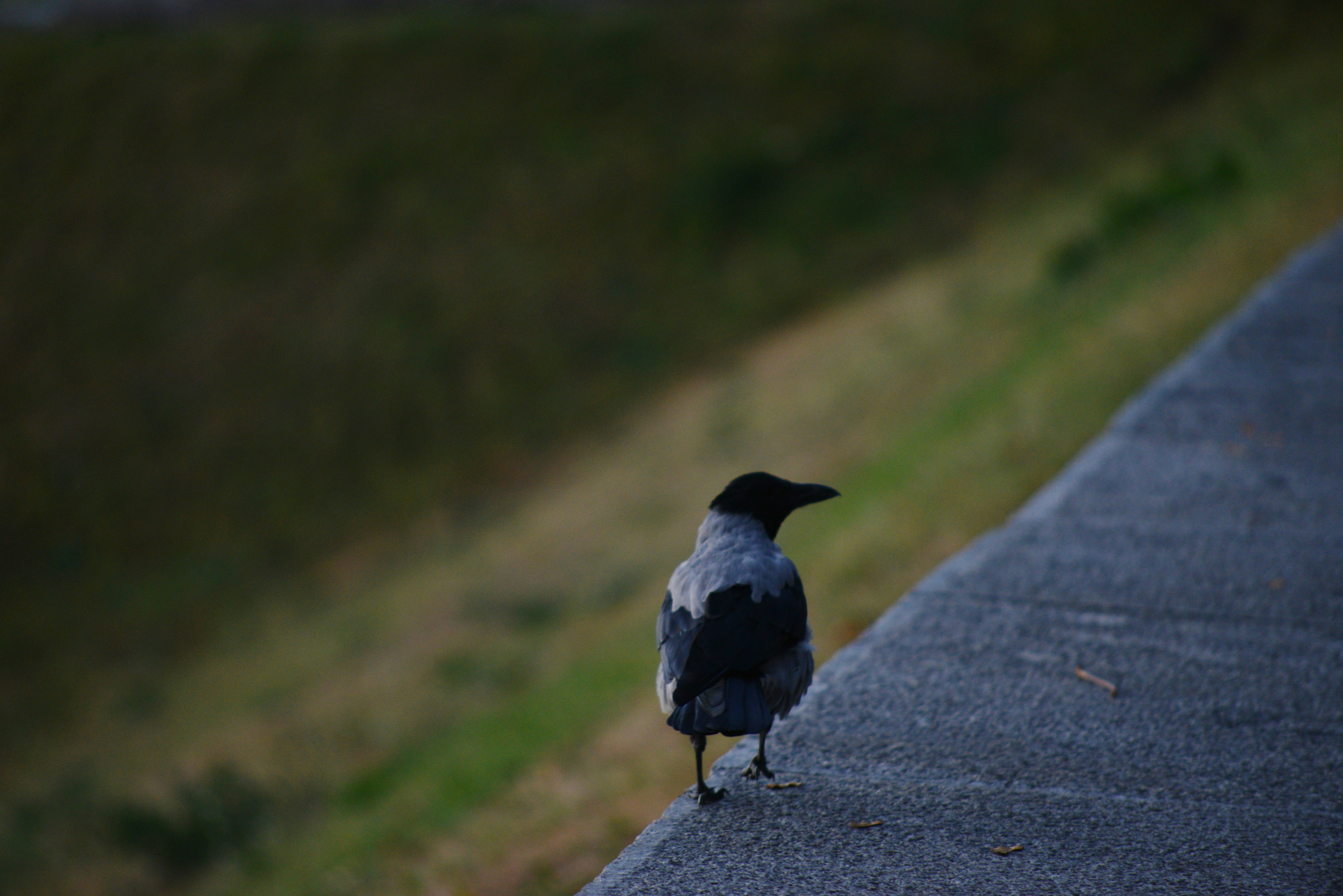 Photo by cherstve_pechivo