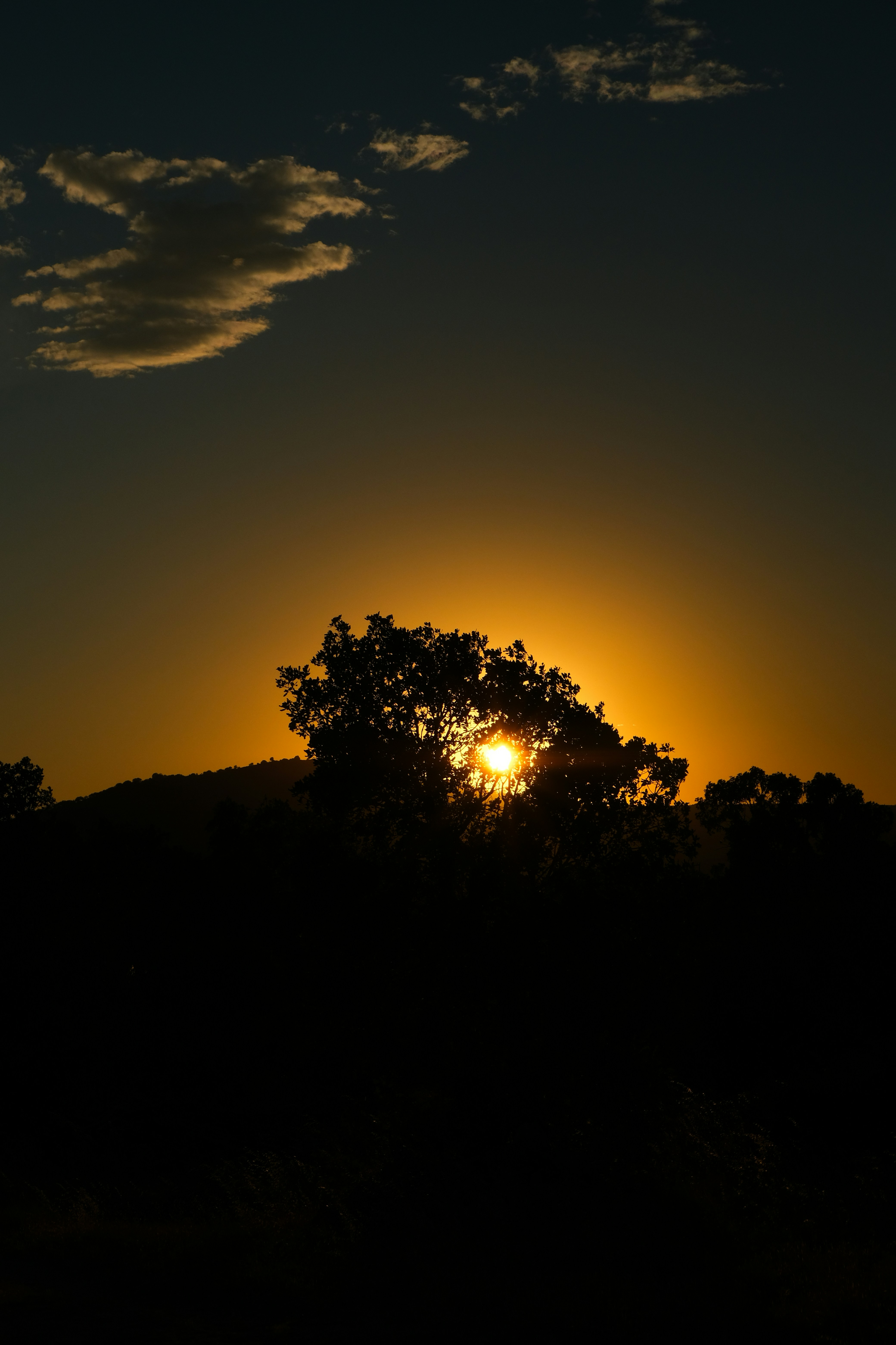 Photo by inthemoodforphotograph