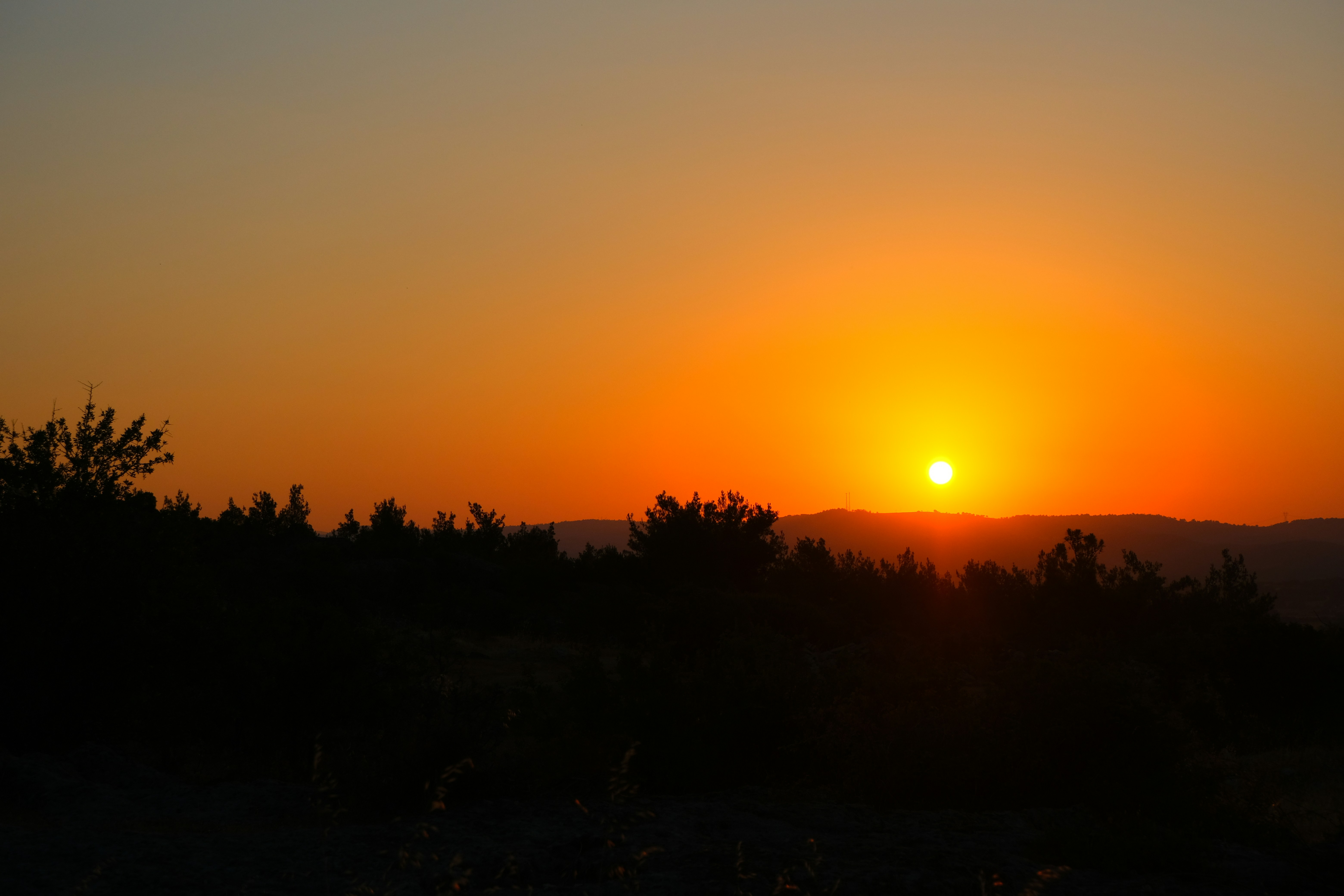 Photo by inthemoodforphotograph