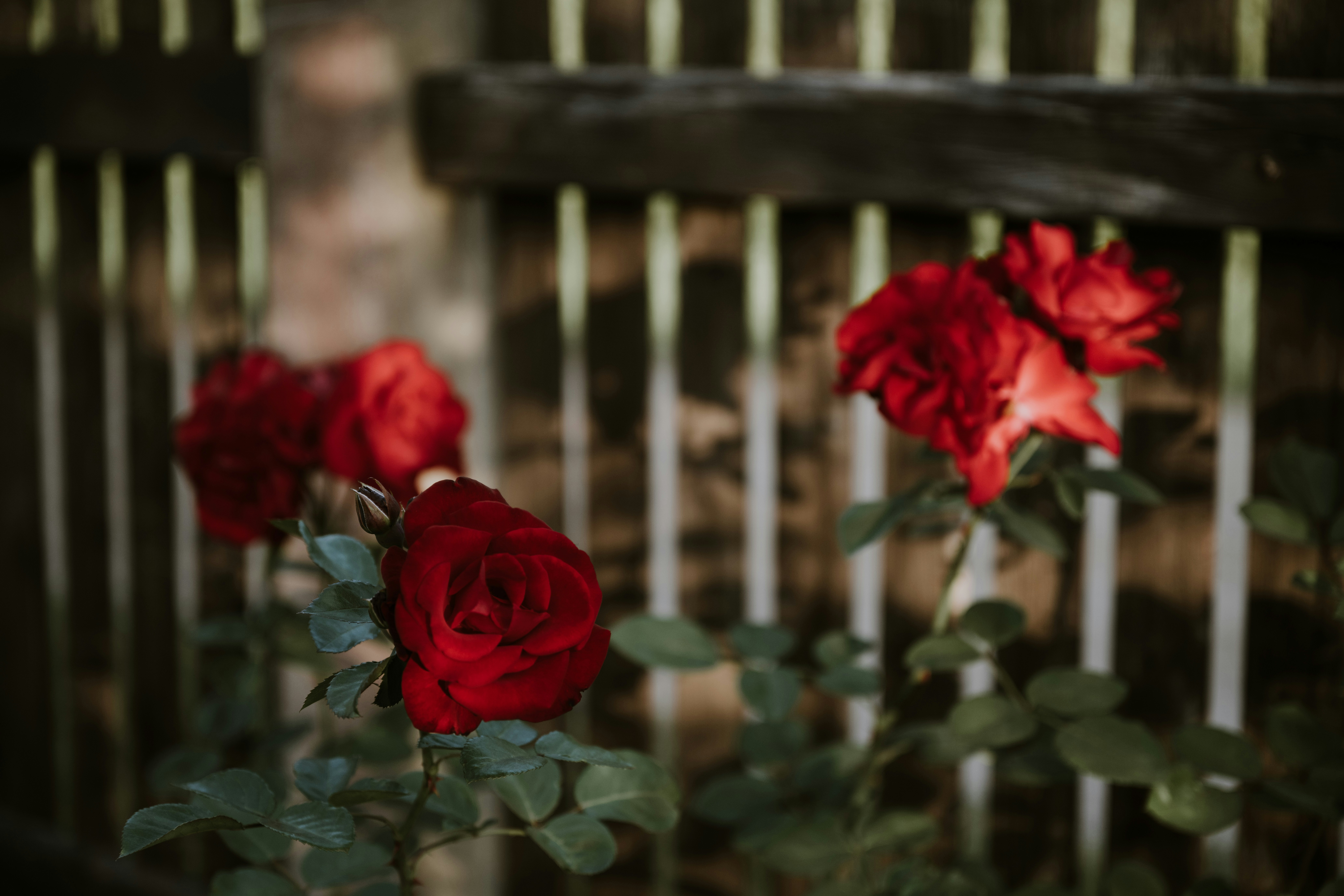 Photo by anitaaustvika