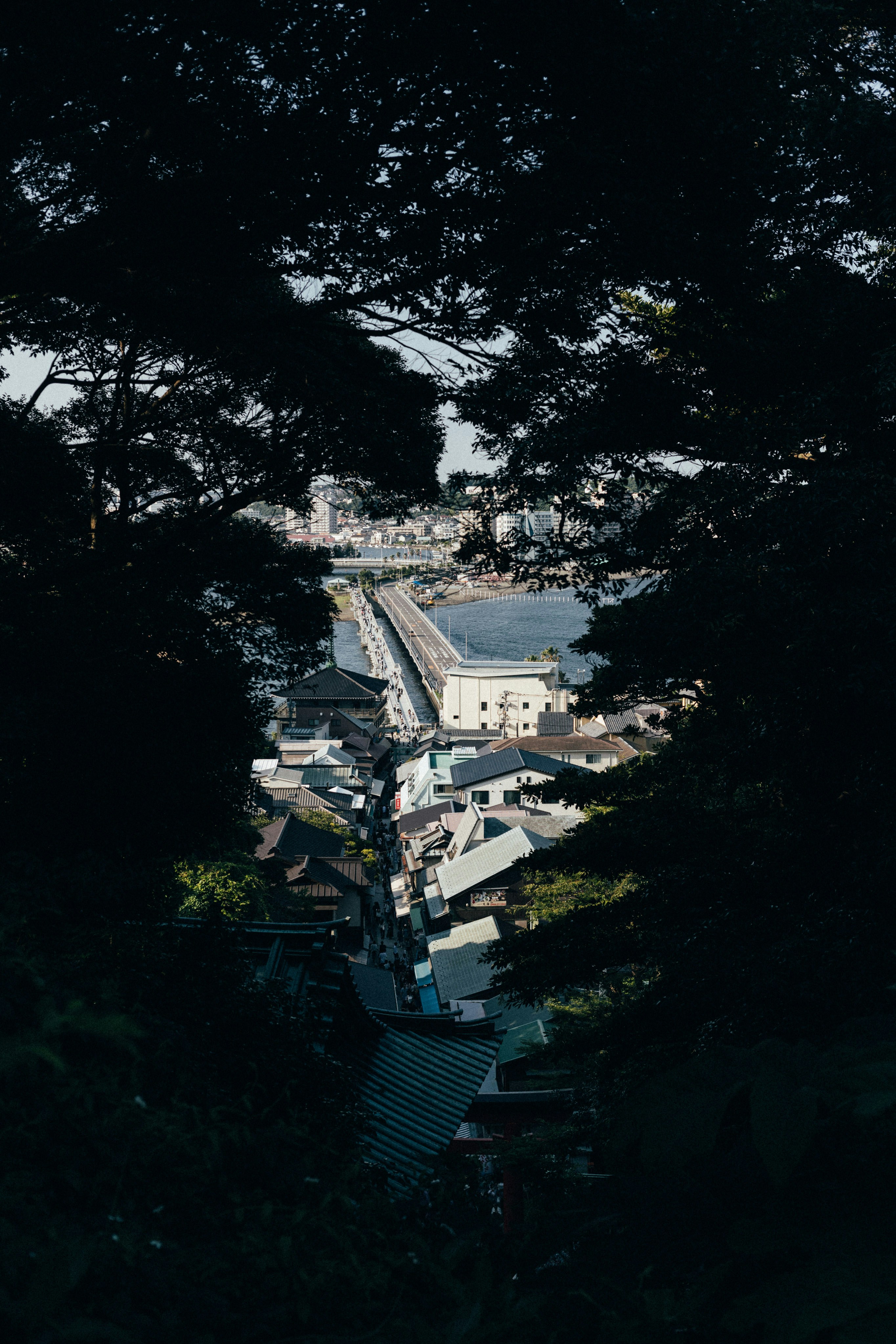 Photo by tsuyoshikozu