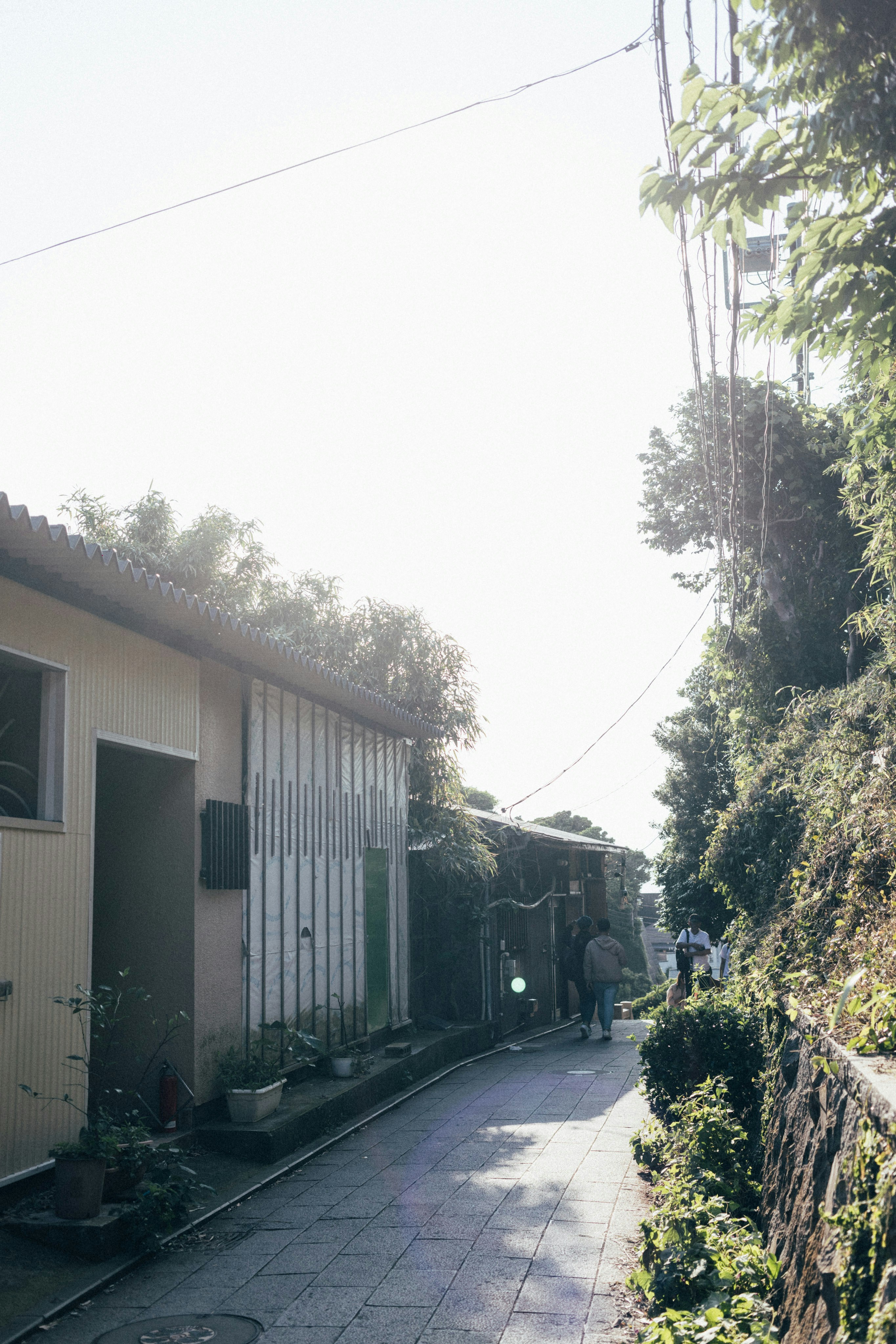 Photo by tsuyoshikozu