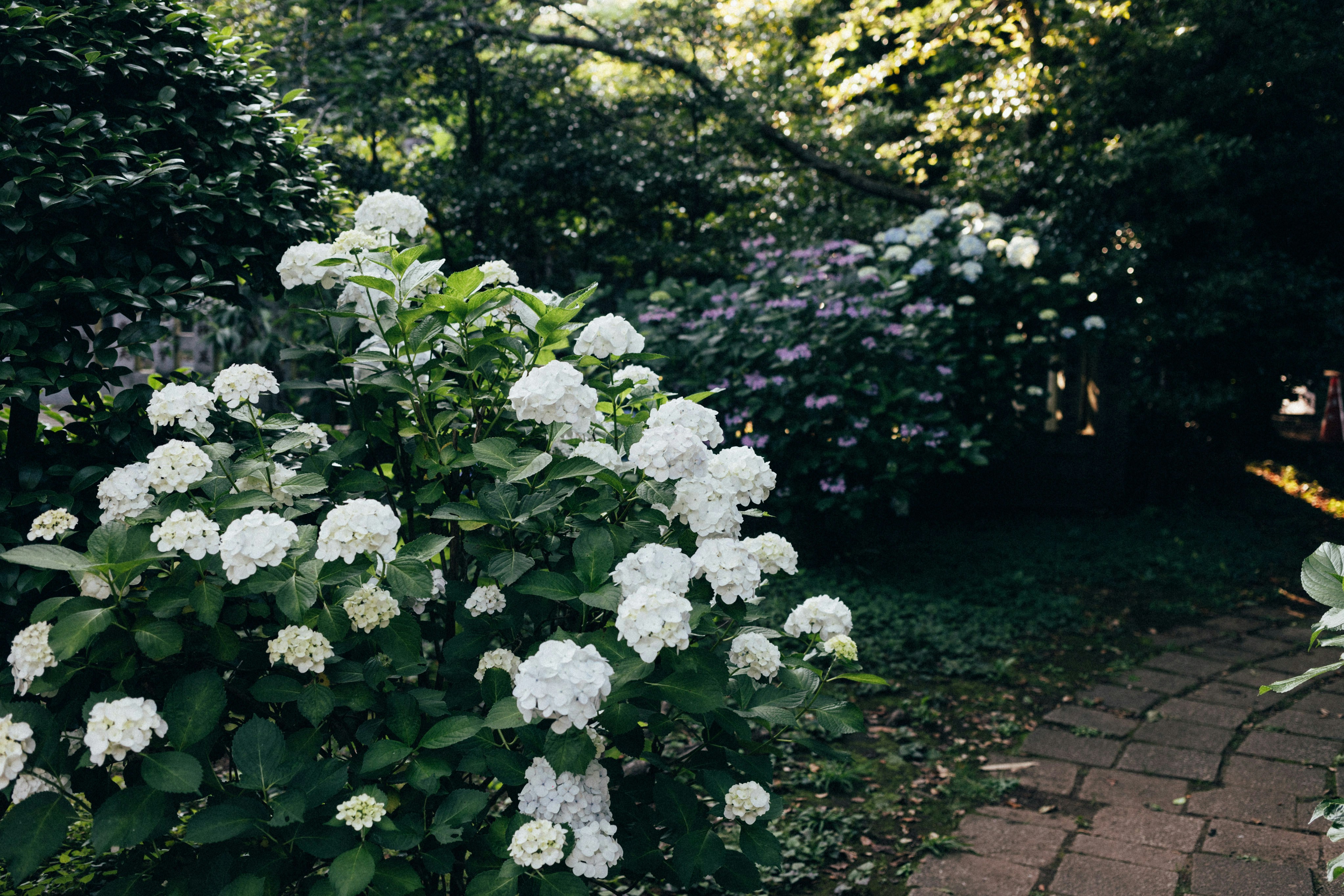 Photo by tsuyoshikozu